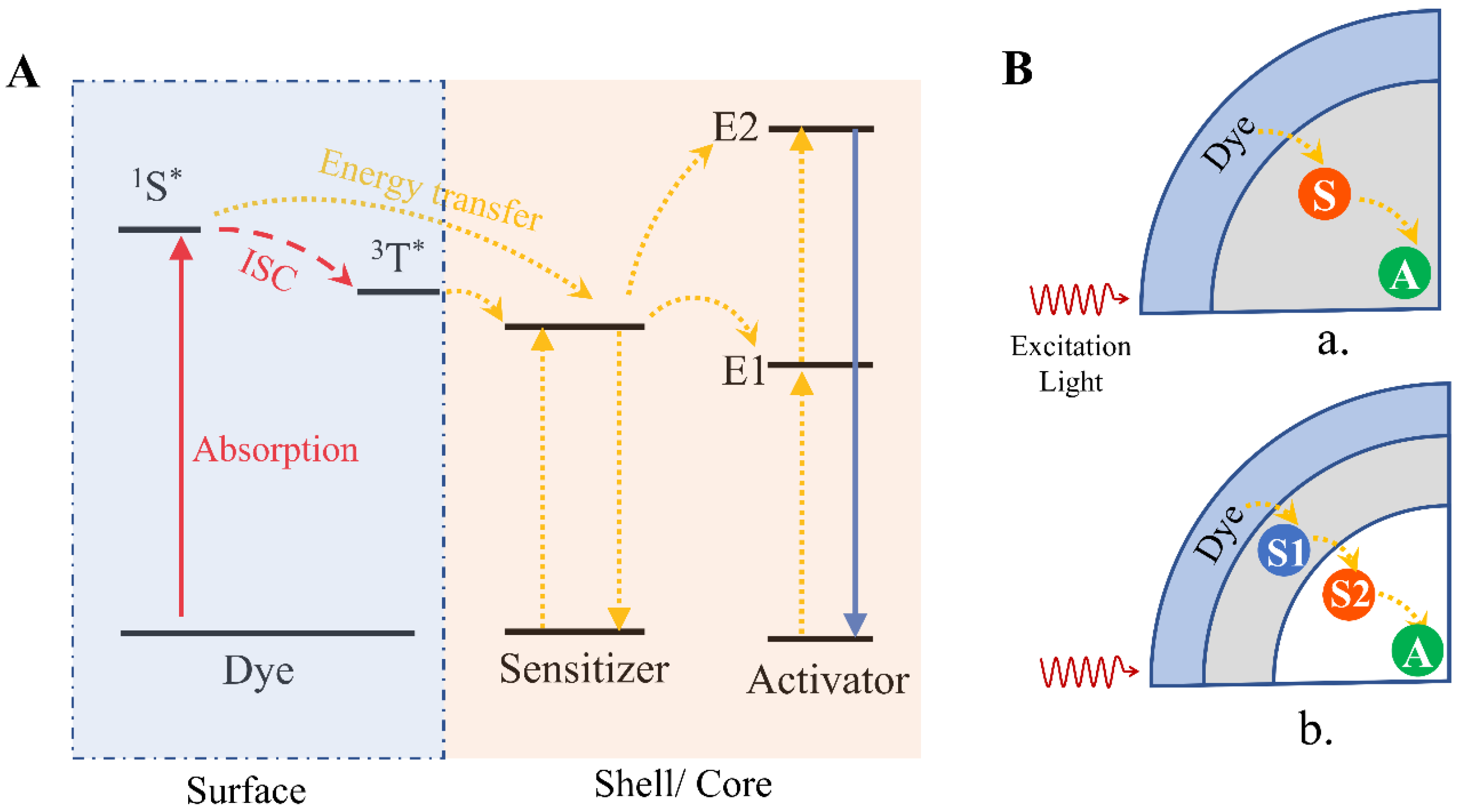 Ijms 23 09003 g003 550