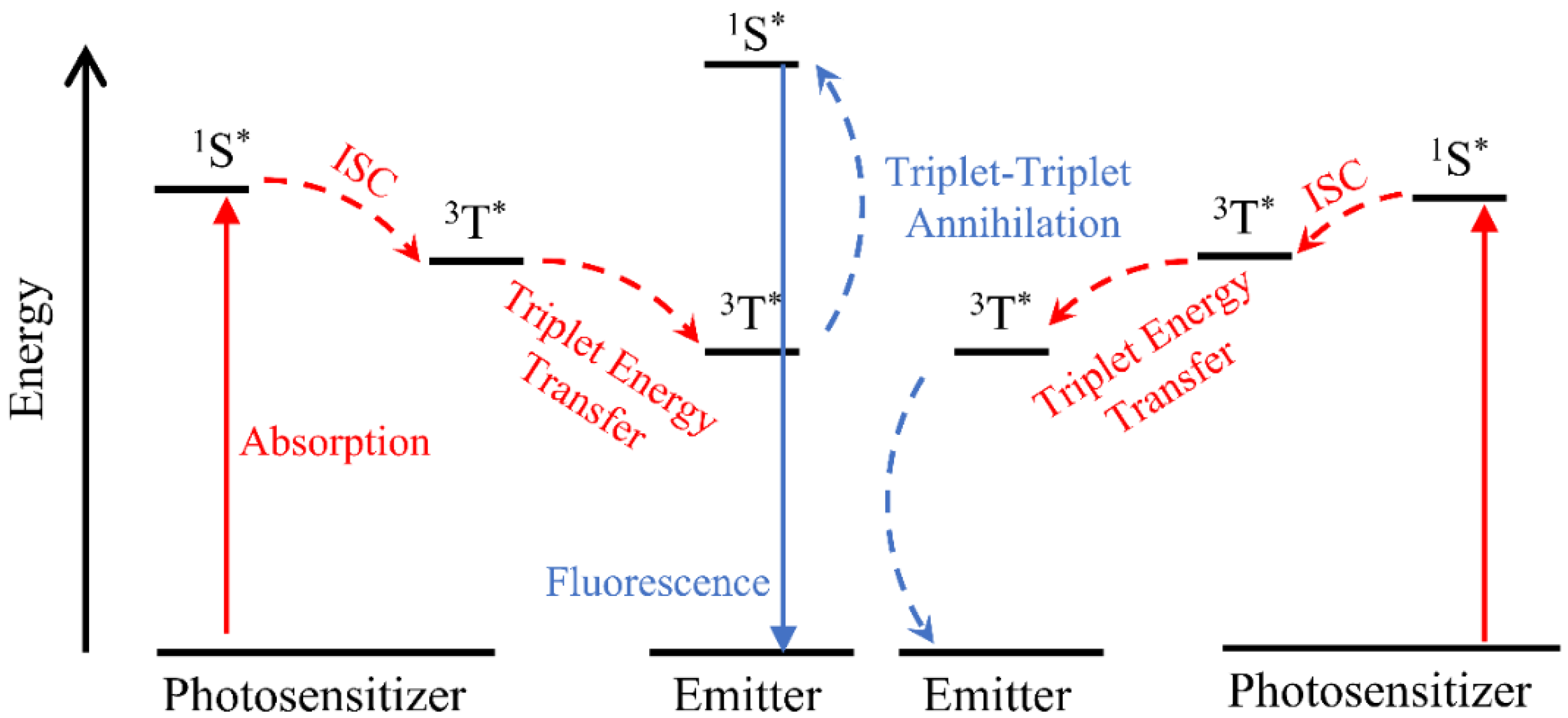 Ijms 23 09003 g004 550