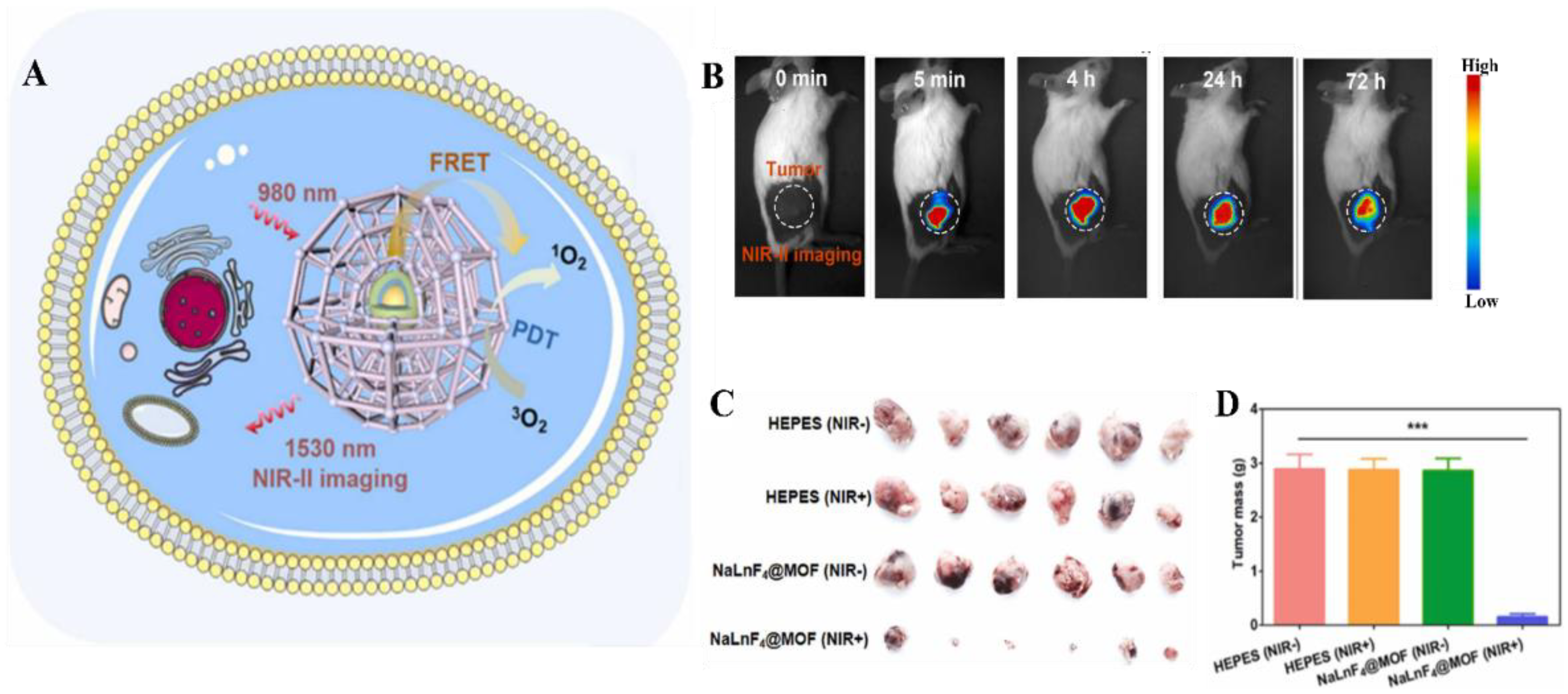 Ijms 23 09003 g006 550
