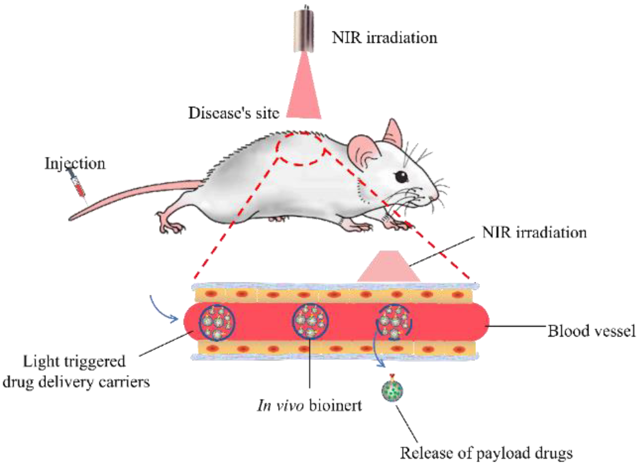 Ijms 23 09003 g007 550