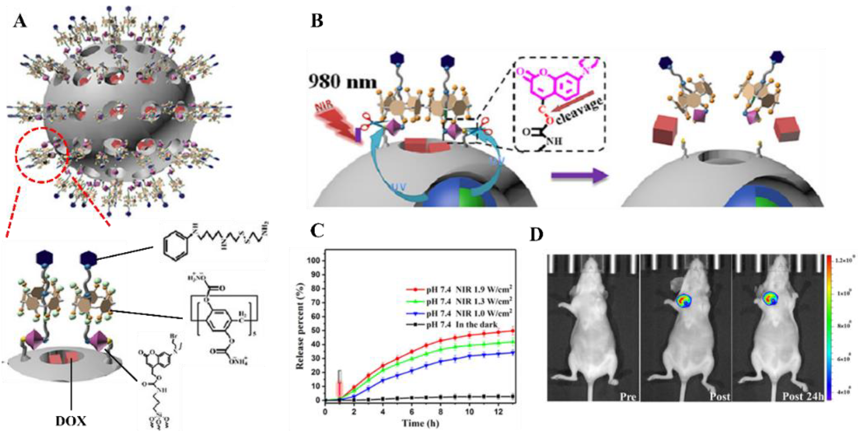 Ijms 23 09003 g008 550