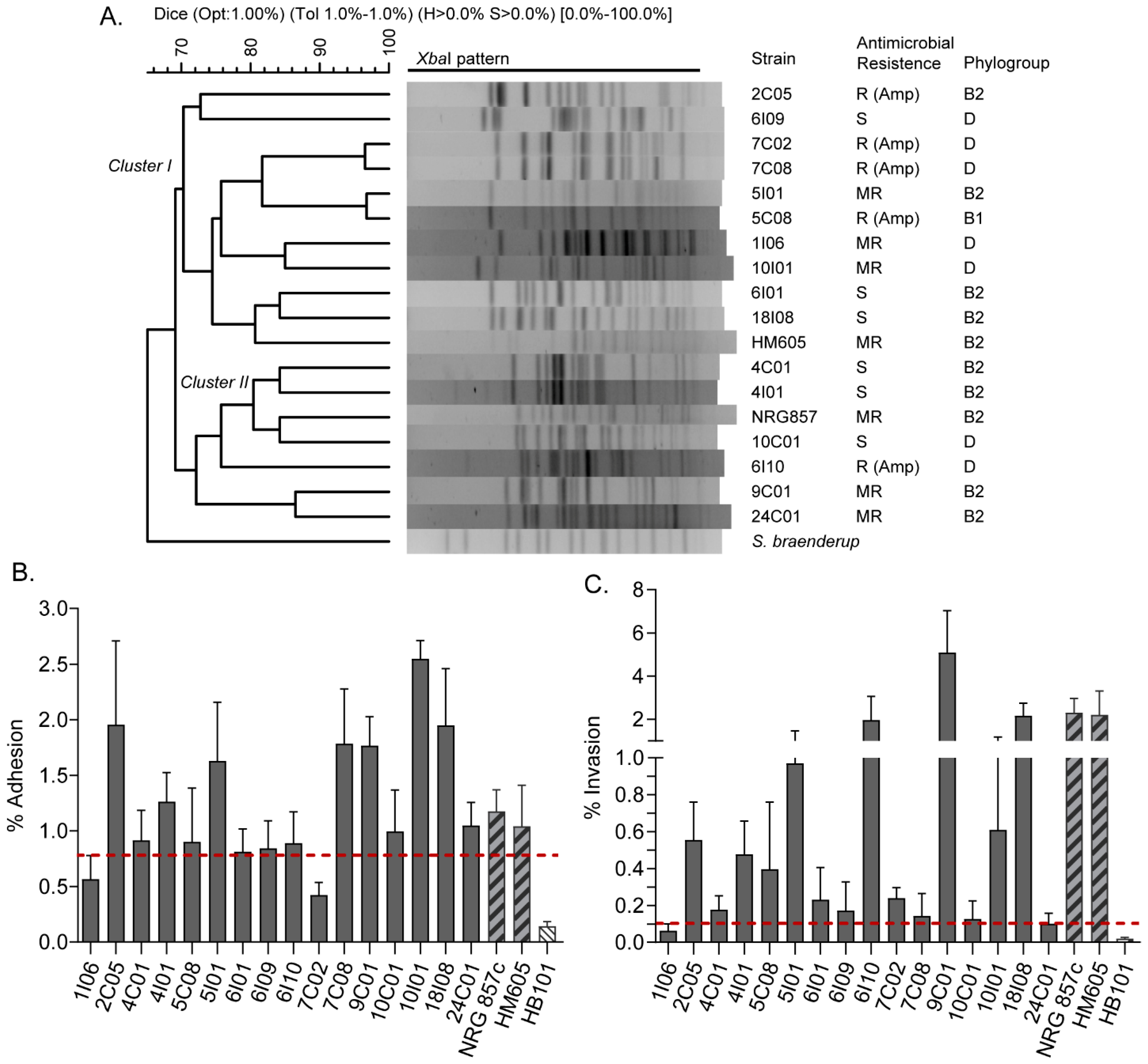 Ijms 23 09005 g001 Ijms 23 09005 g001