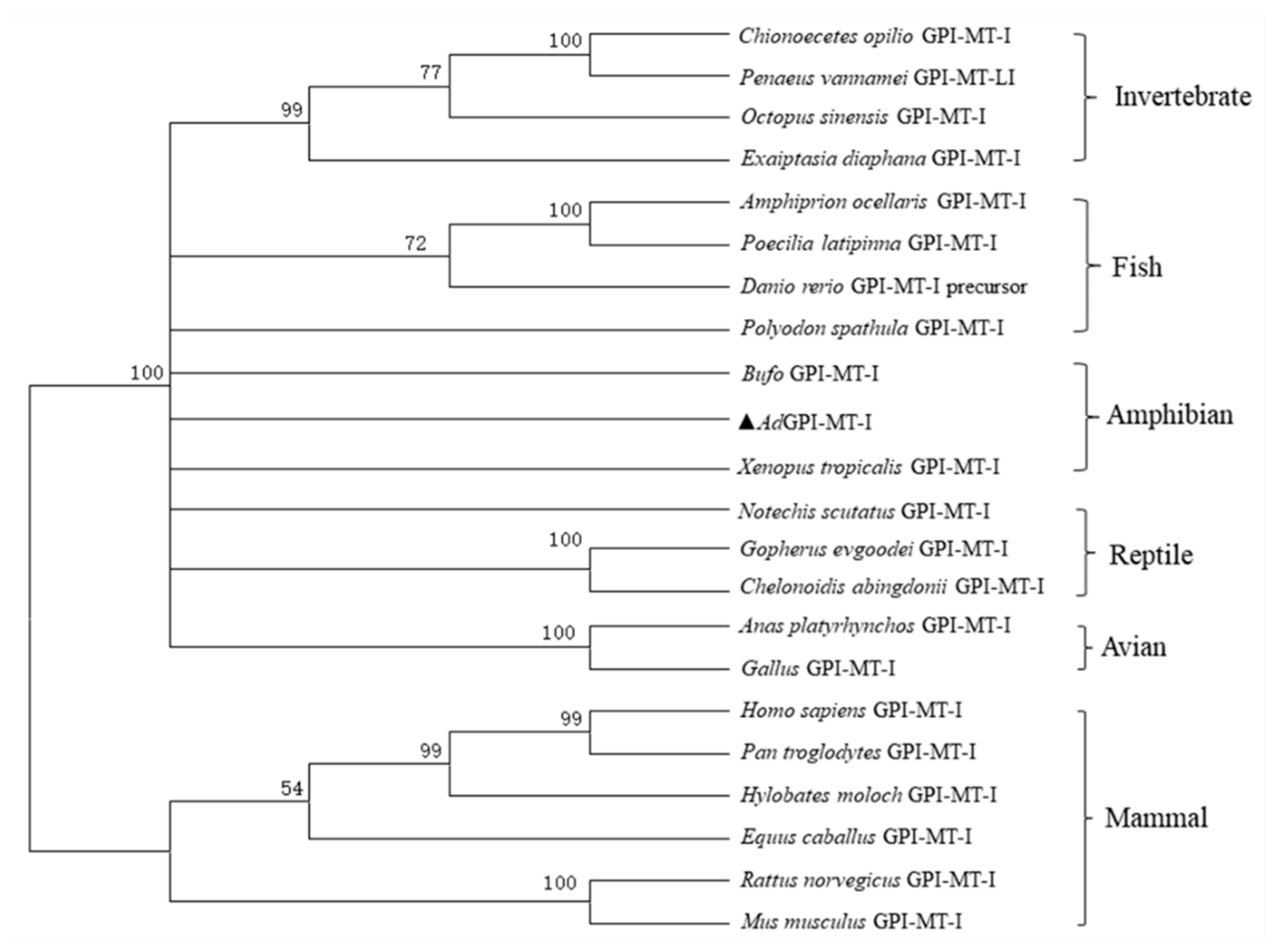 Ijms 23 09009 g003 Ijms 23 09009 g003