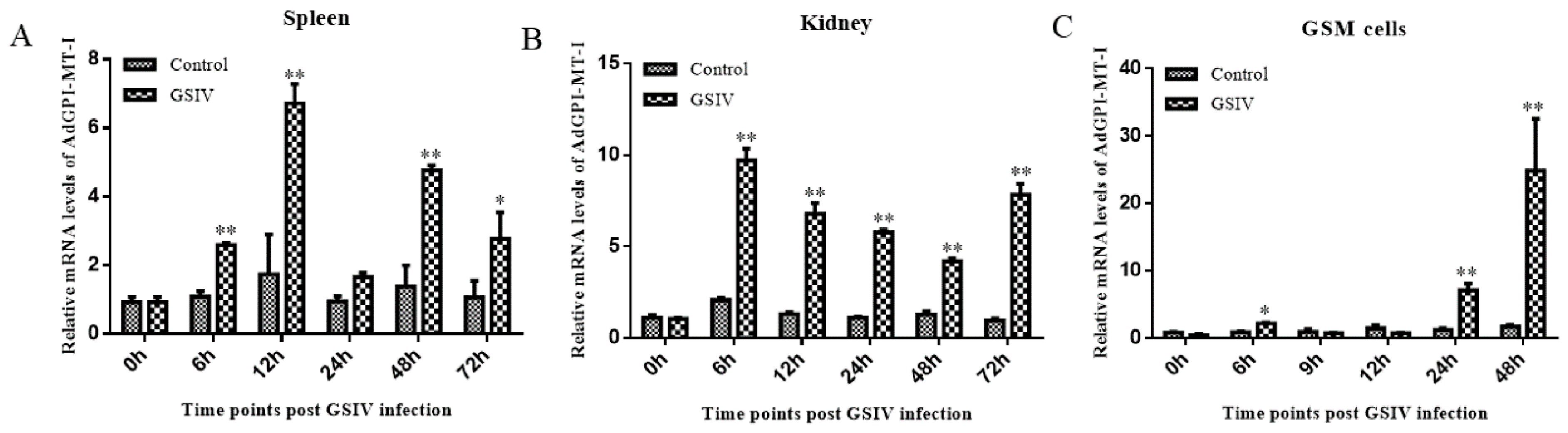 Ijms 23 09009 g005 Ijms 23 09009 g005