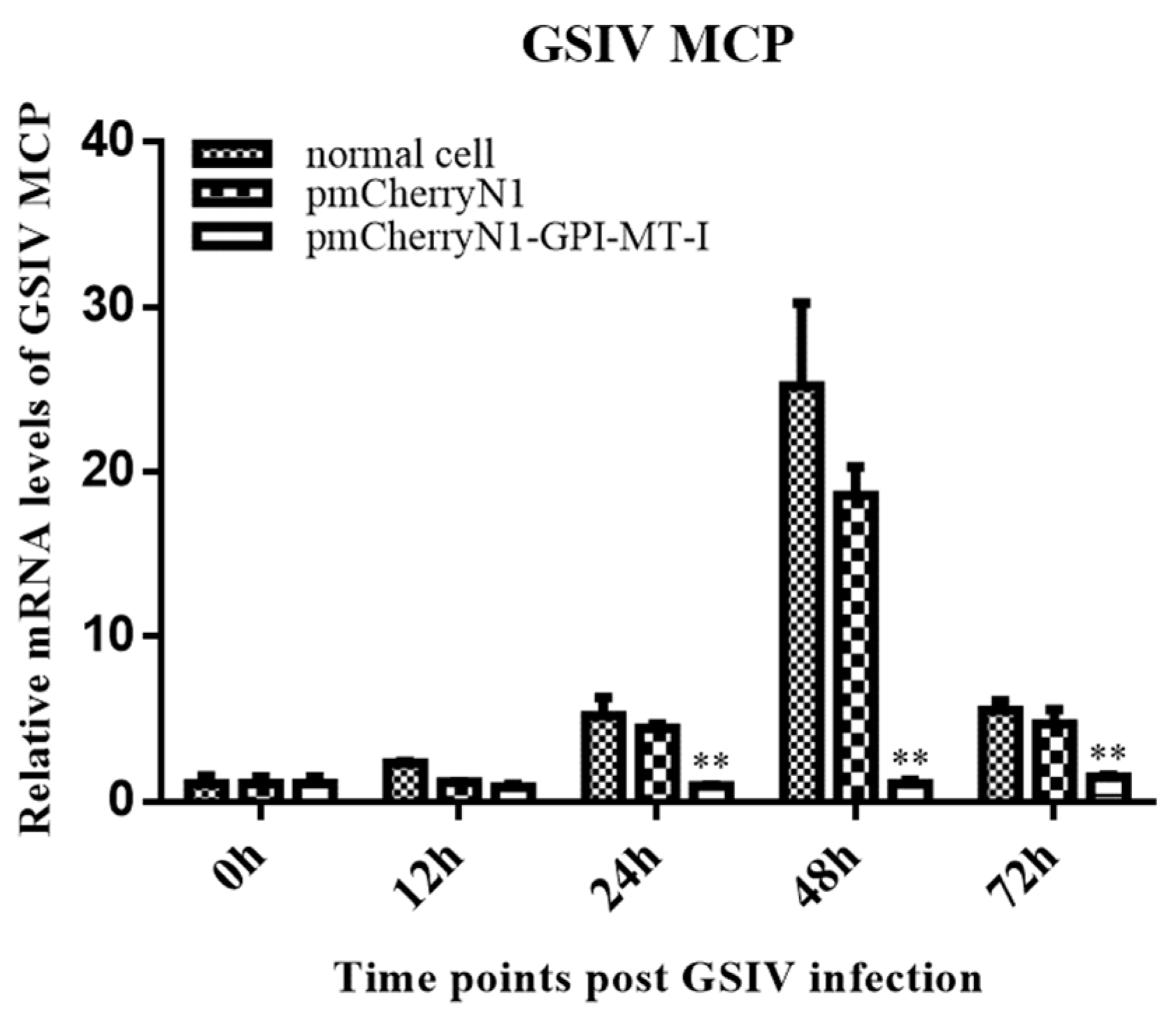 Ijms 23 09009 g007 Ijms 23 09009 g007