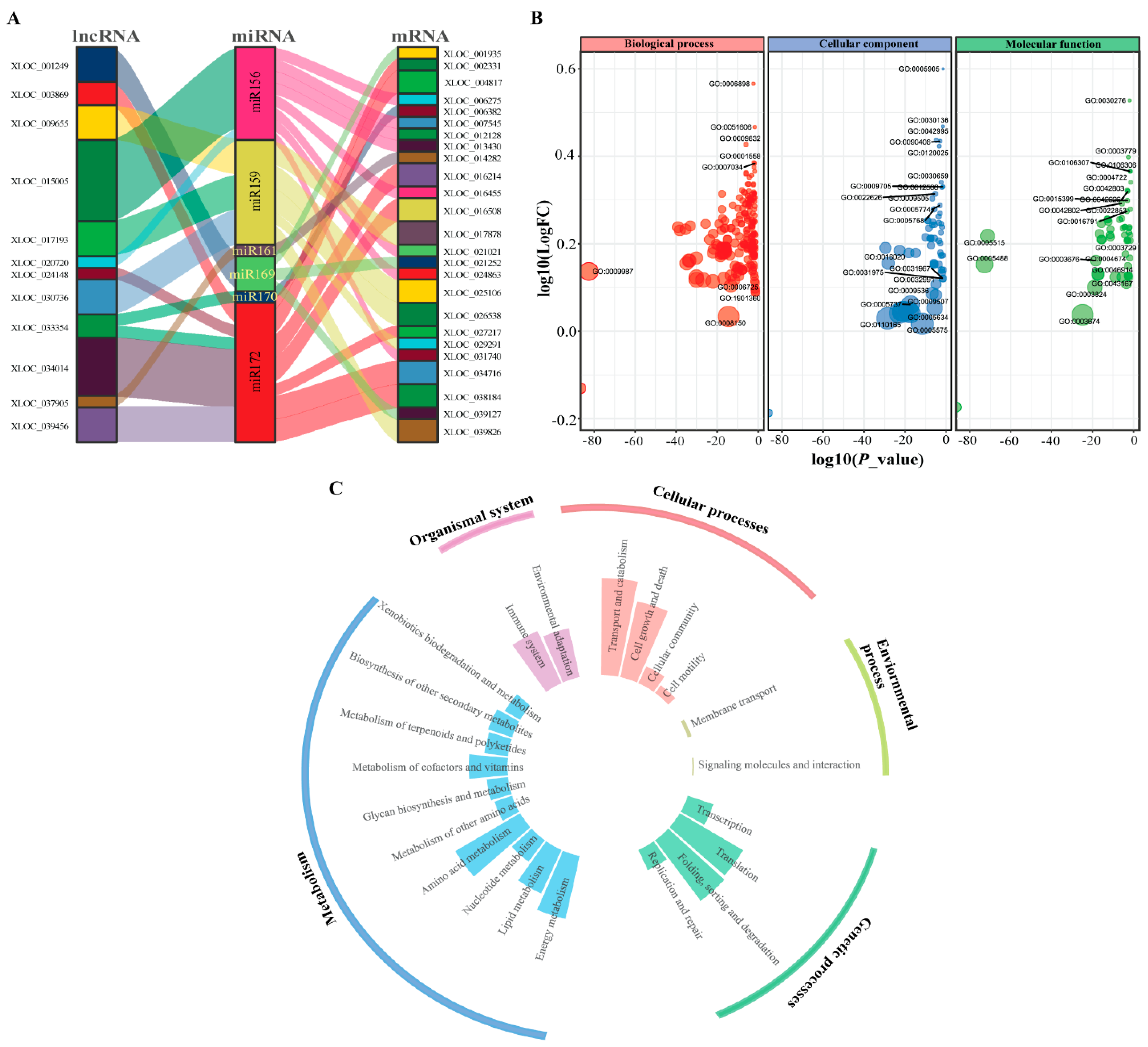 Ijms 23 09012 g005 550