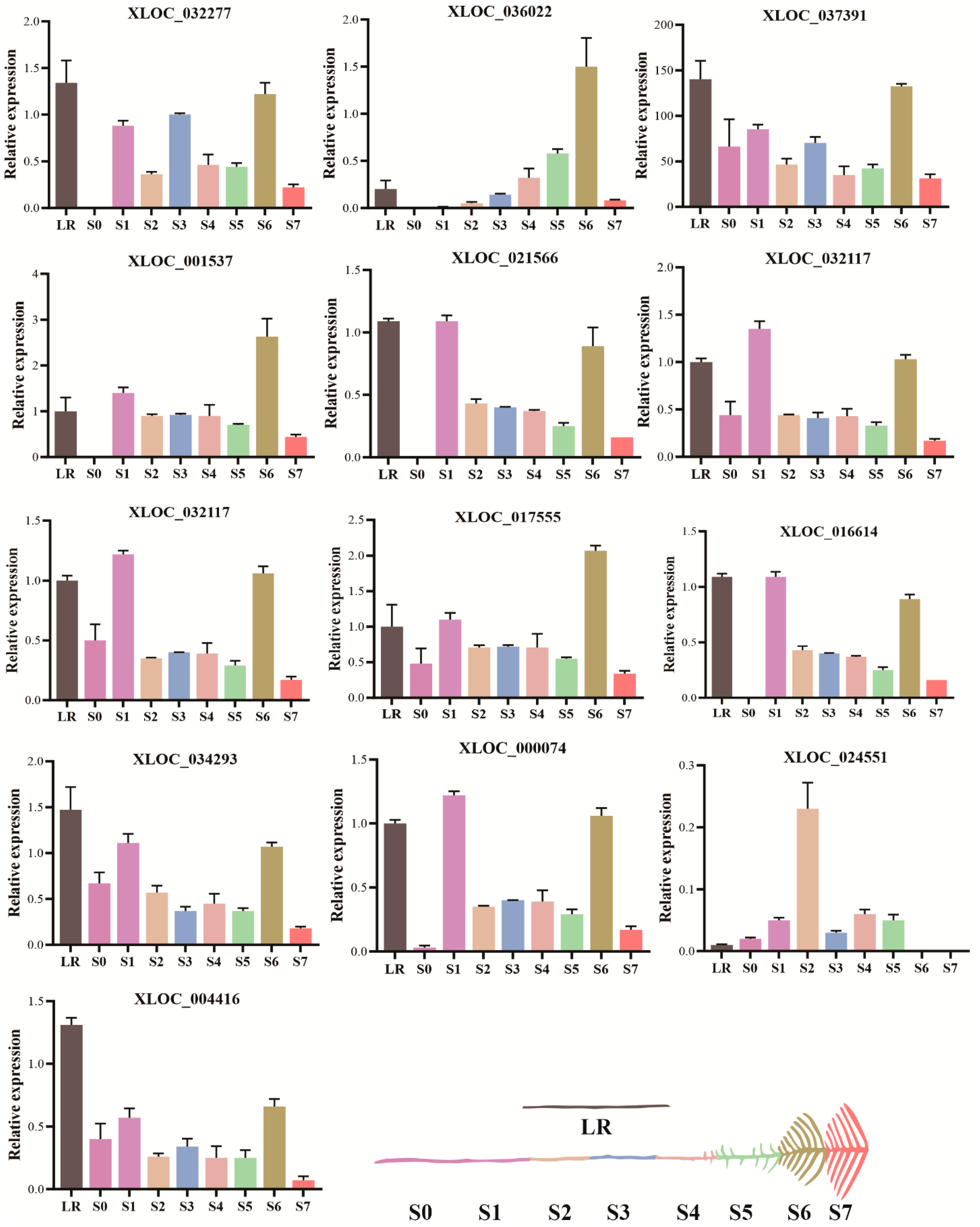 Ijms 23 09012 g006 550