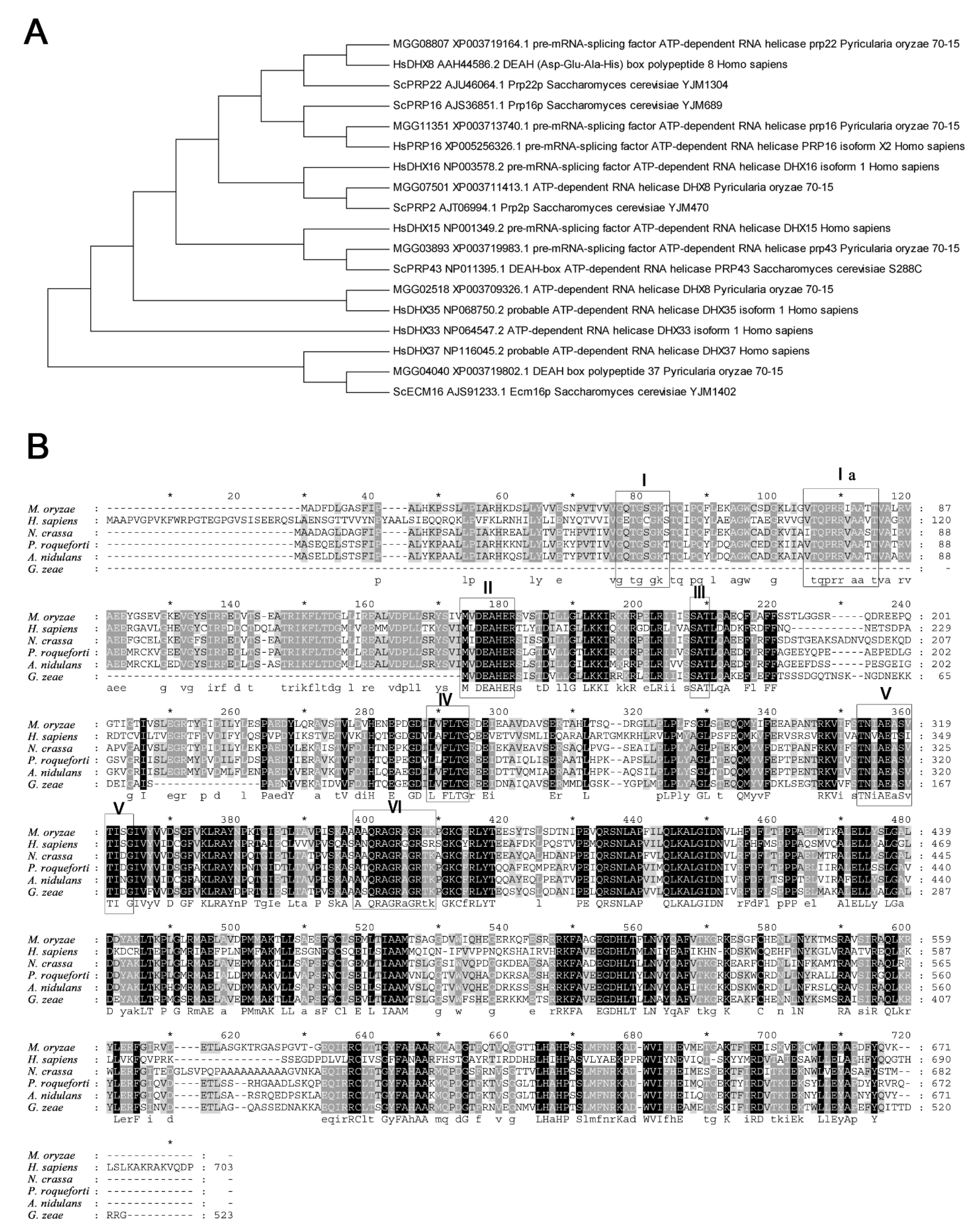 Ijms 23 09015 g001 Ijms 23 09015 g001