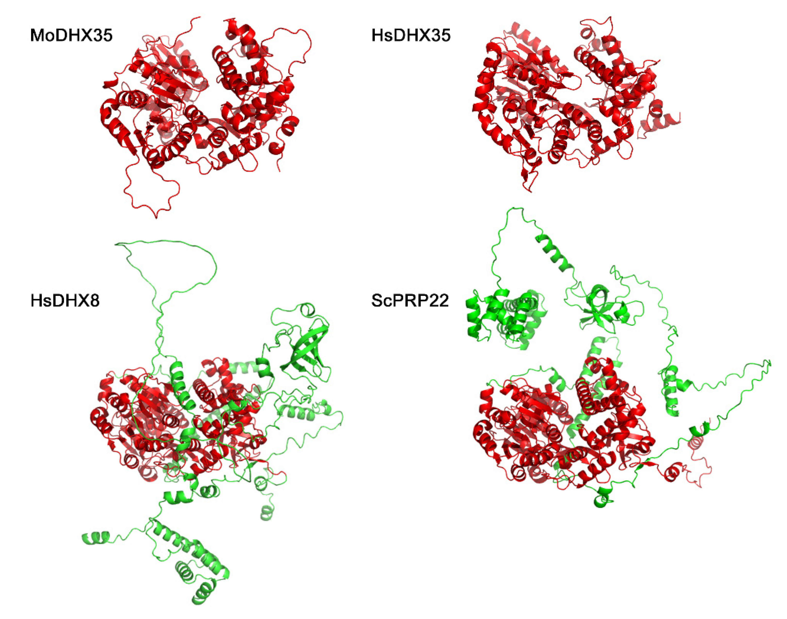 Ijms 23 09015 g002 Ijms 23 09015 g002
