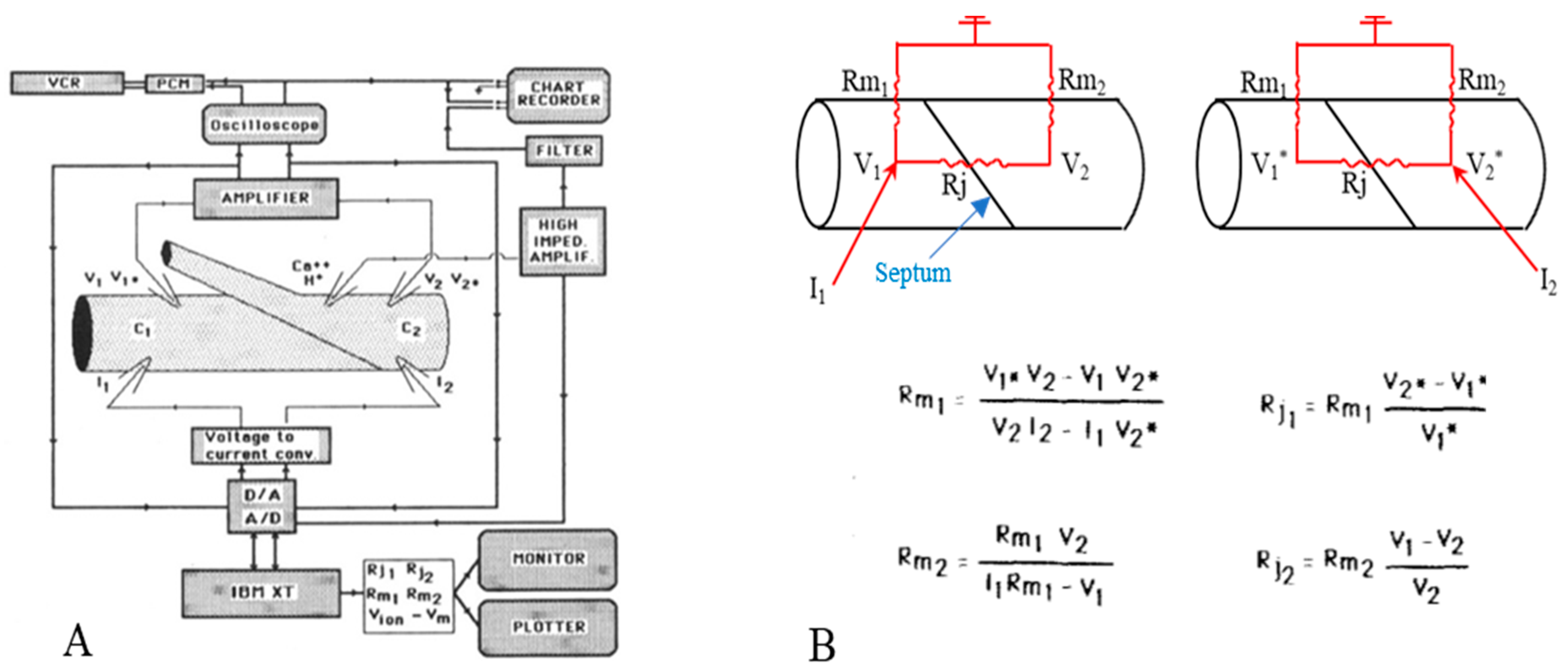 Ijms 23 09017 g001 Ijms 23 09017 g001