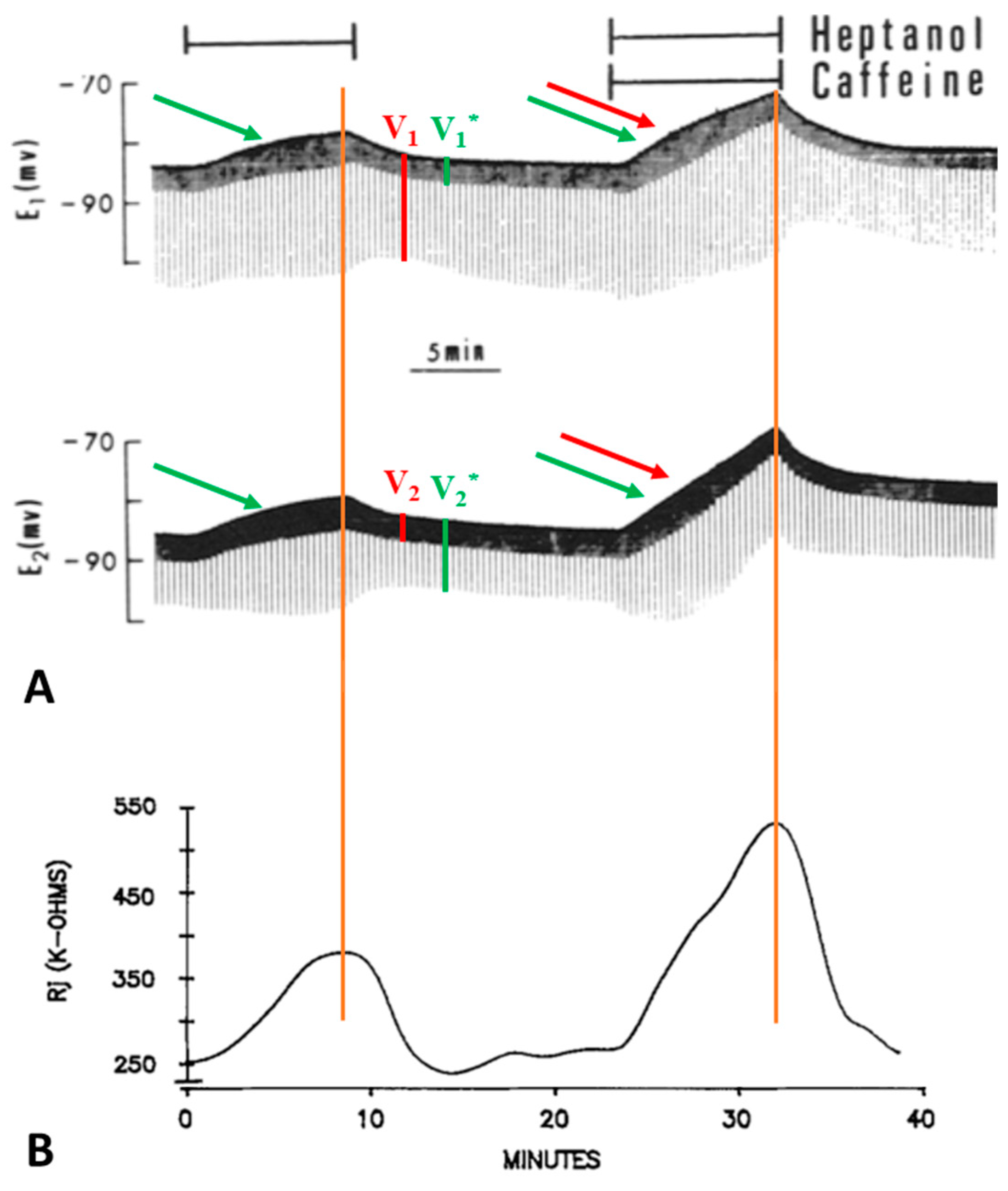Ijms 23 09017 g002 Ijms 23 09017 g002