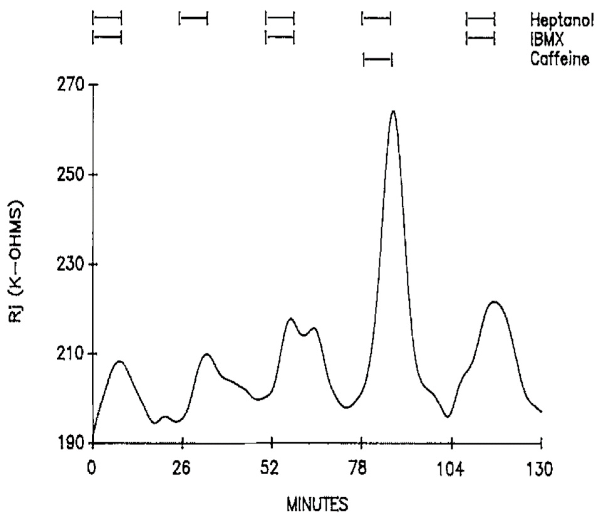Ijms 23 09017 g007 Ijms 23 09017 g007