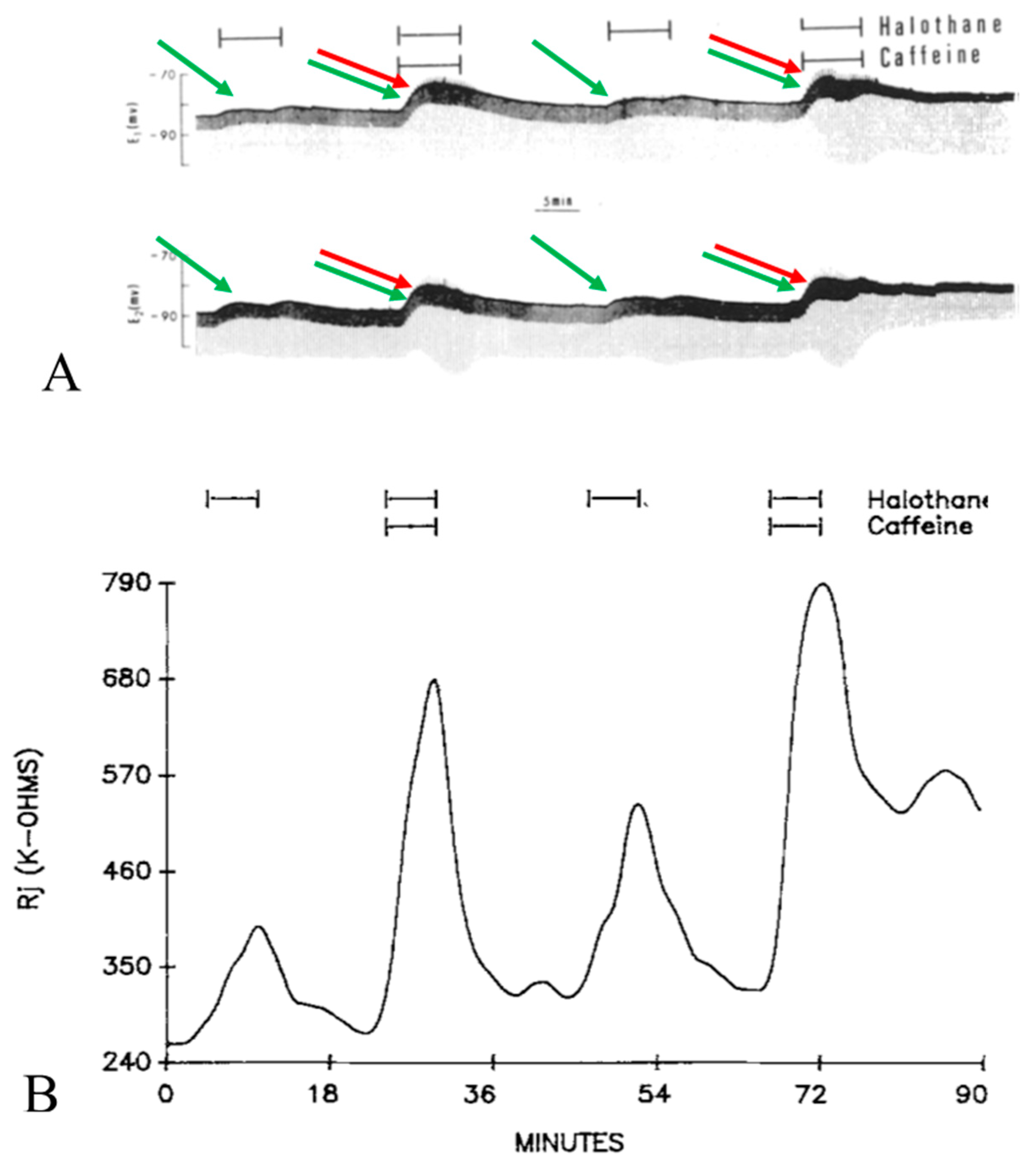 Ijms 23 09017 g009 Ijms 23 09017 g009