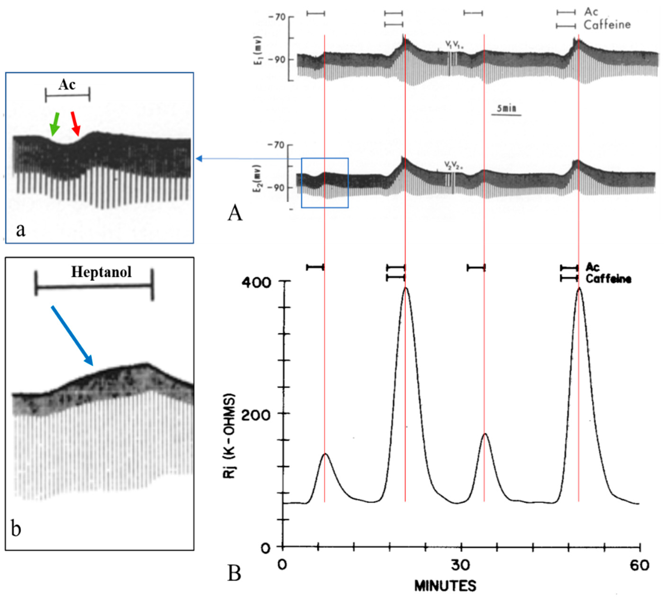 Ijms 23 09017 g011 Ijms 23 09017 g011