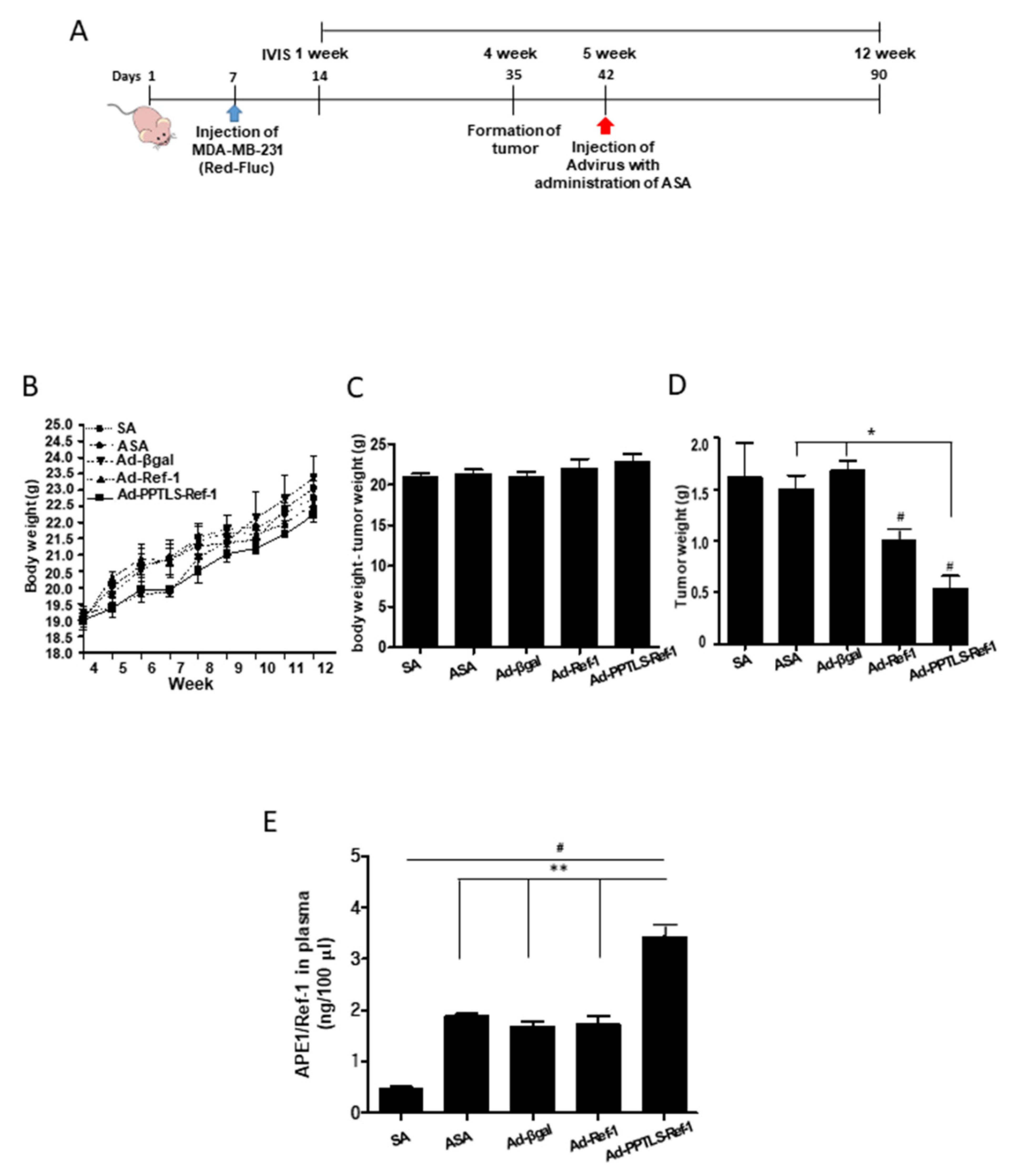 Ijms 23 09021 g002 Ijms 23 09021 g002