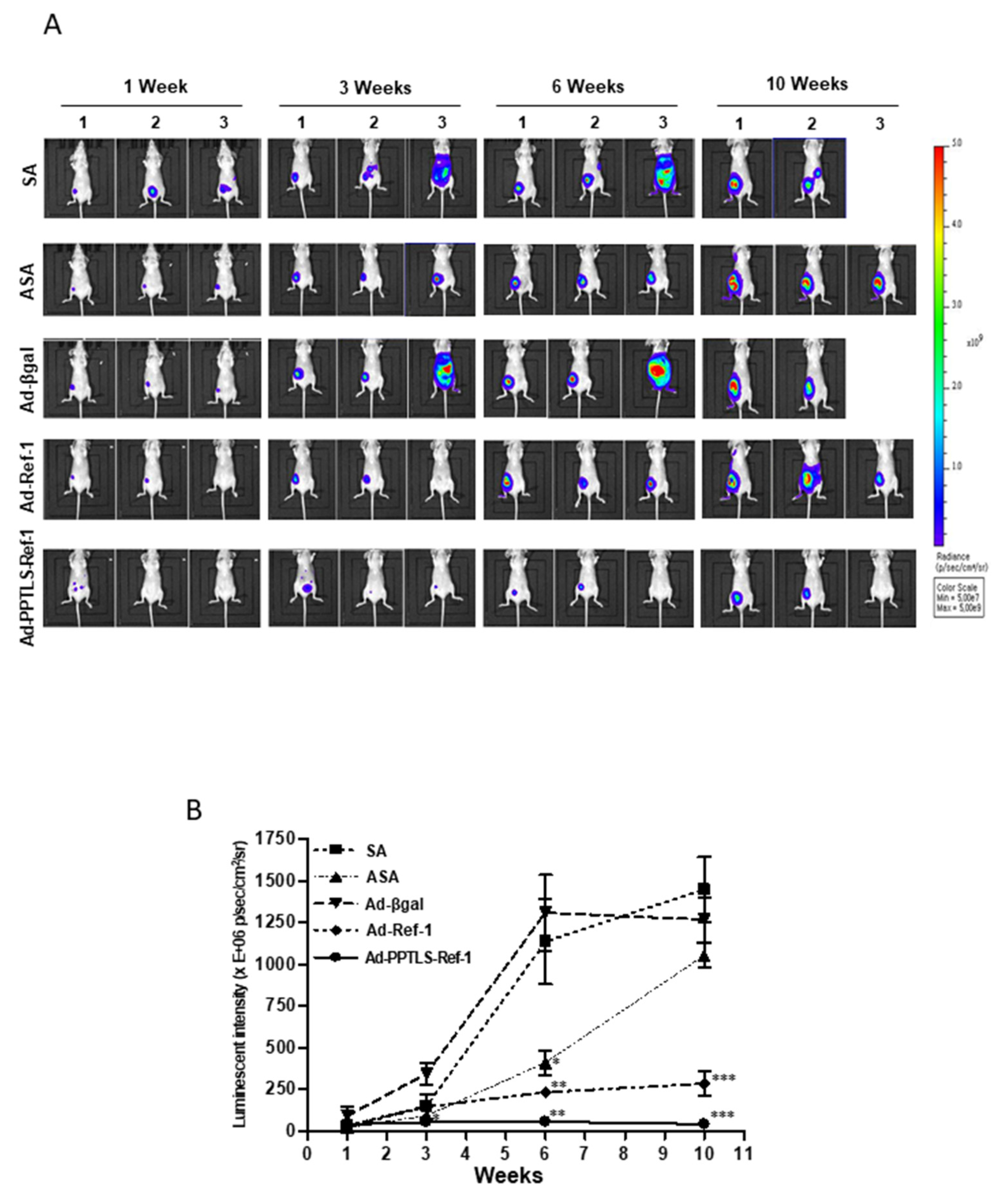 Ijms 23 09021 g003a Ijms 23 09021 g003a
