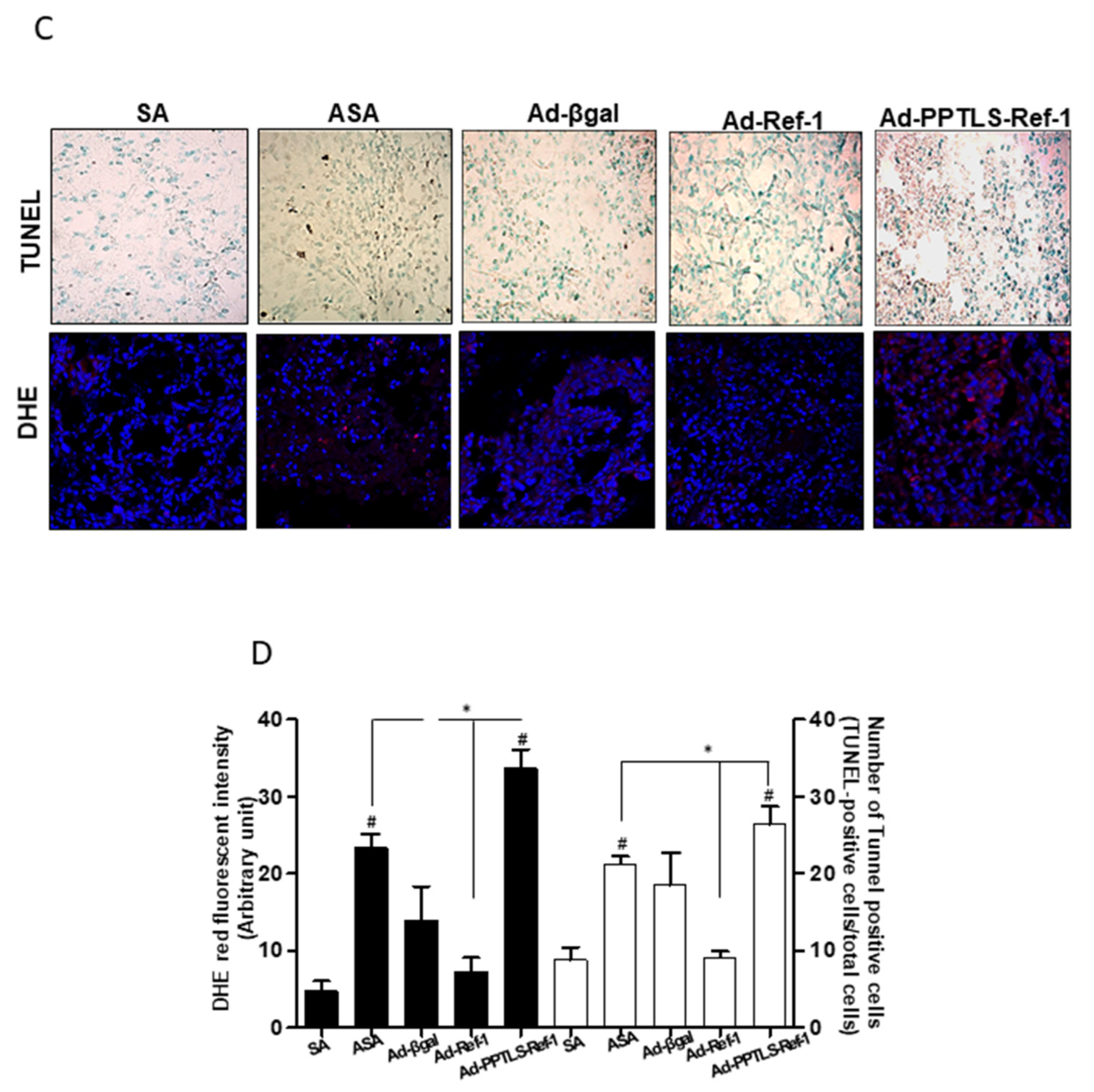 Ijms 23 09021 g003b Ijms 23 09021 g003b
