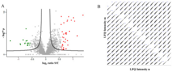 Protein Profiling of a Cellular Model of NAFLD by Advanced