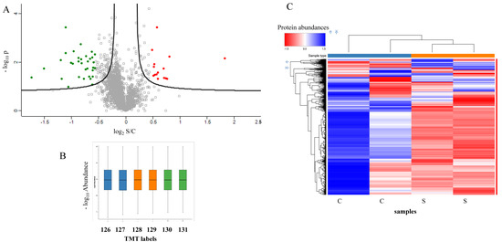 Protein Profiling of a Cellular Model of NAFLD by Advanced