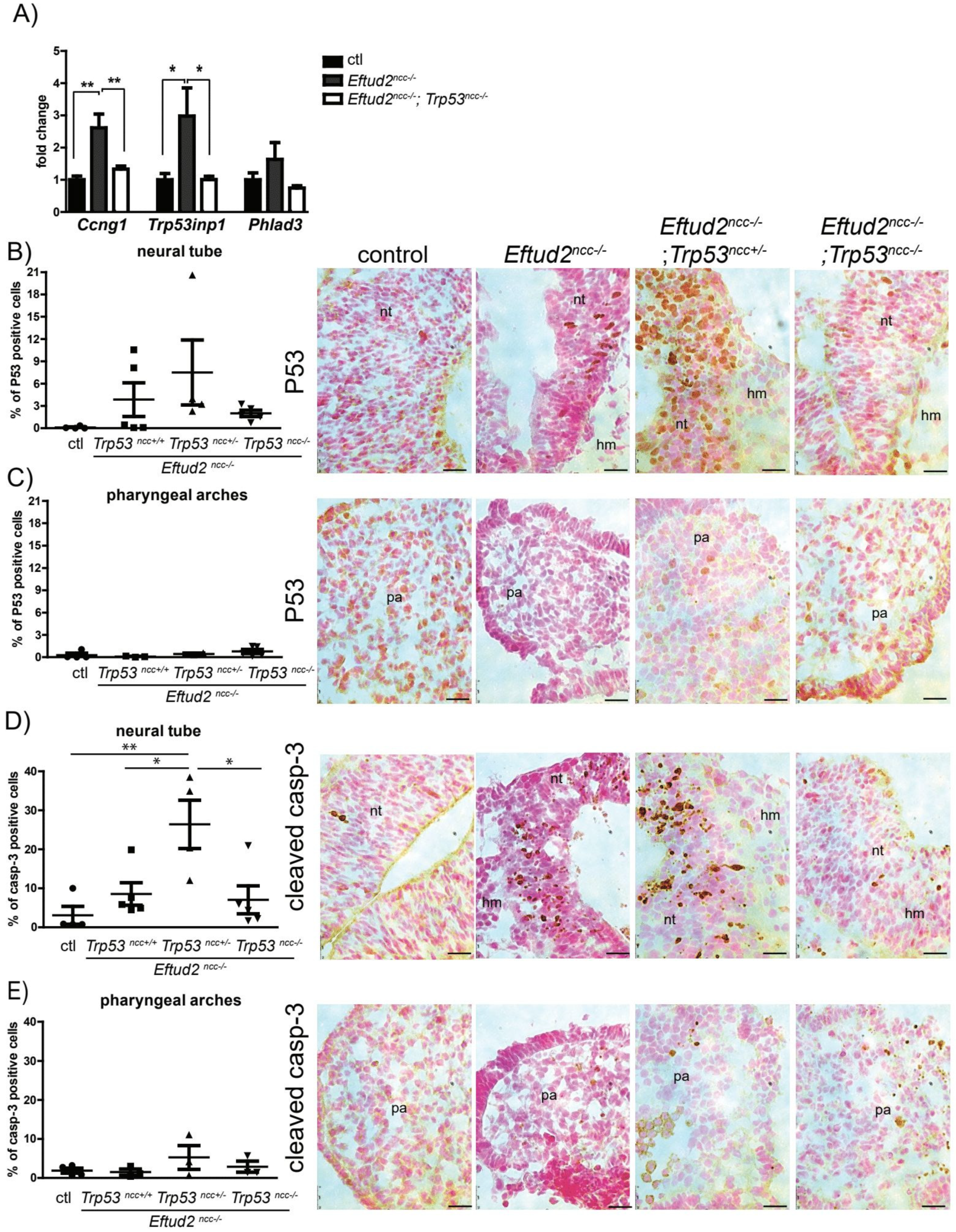 Ijms 23 09033 g002 550