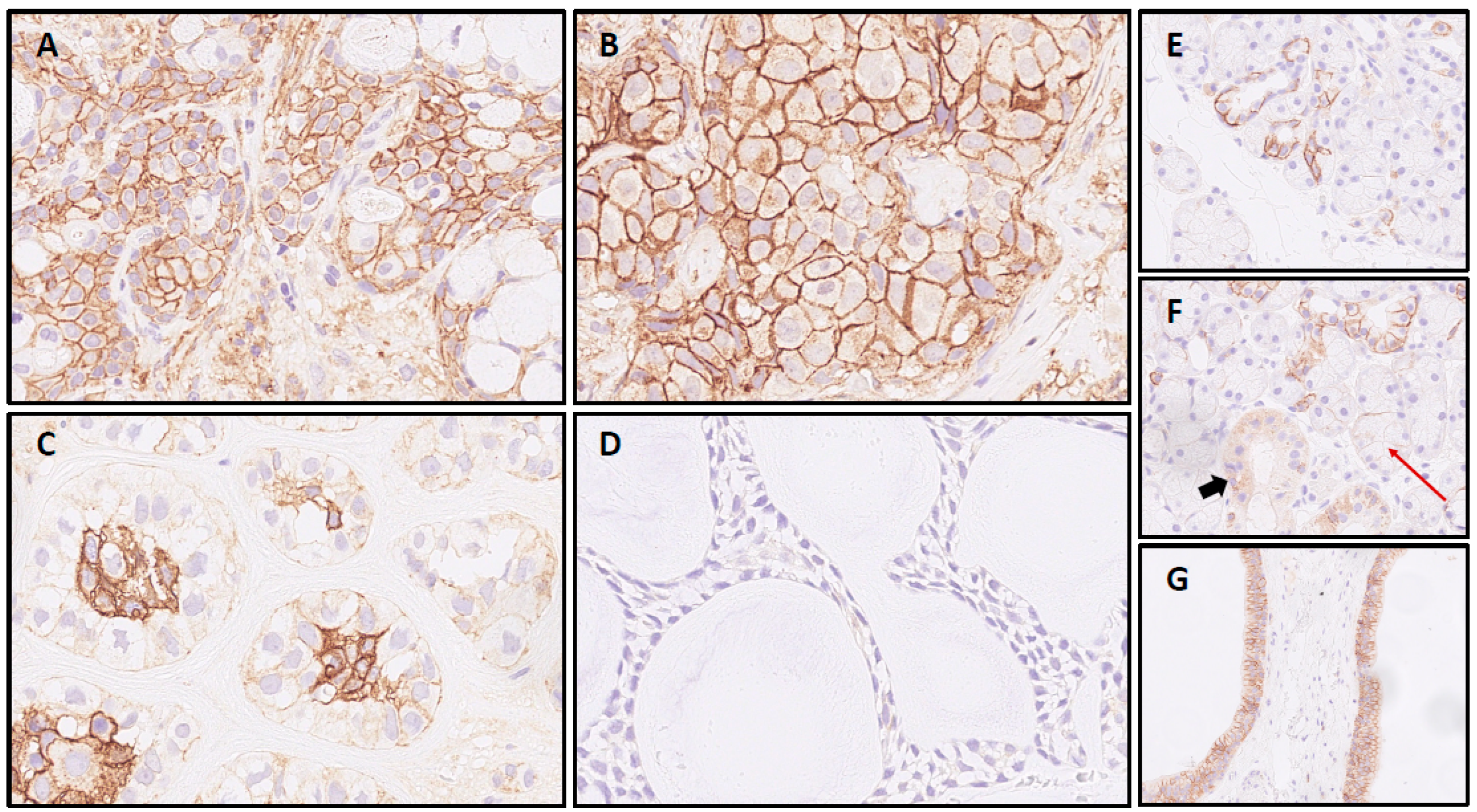 Ijms 23 09037 g001 550