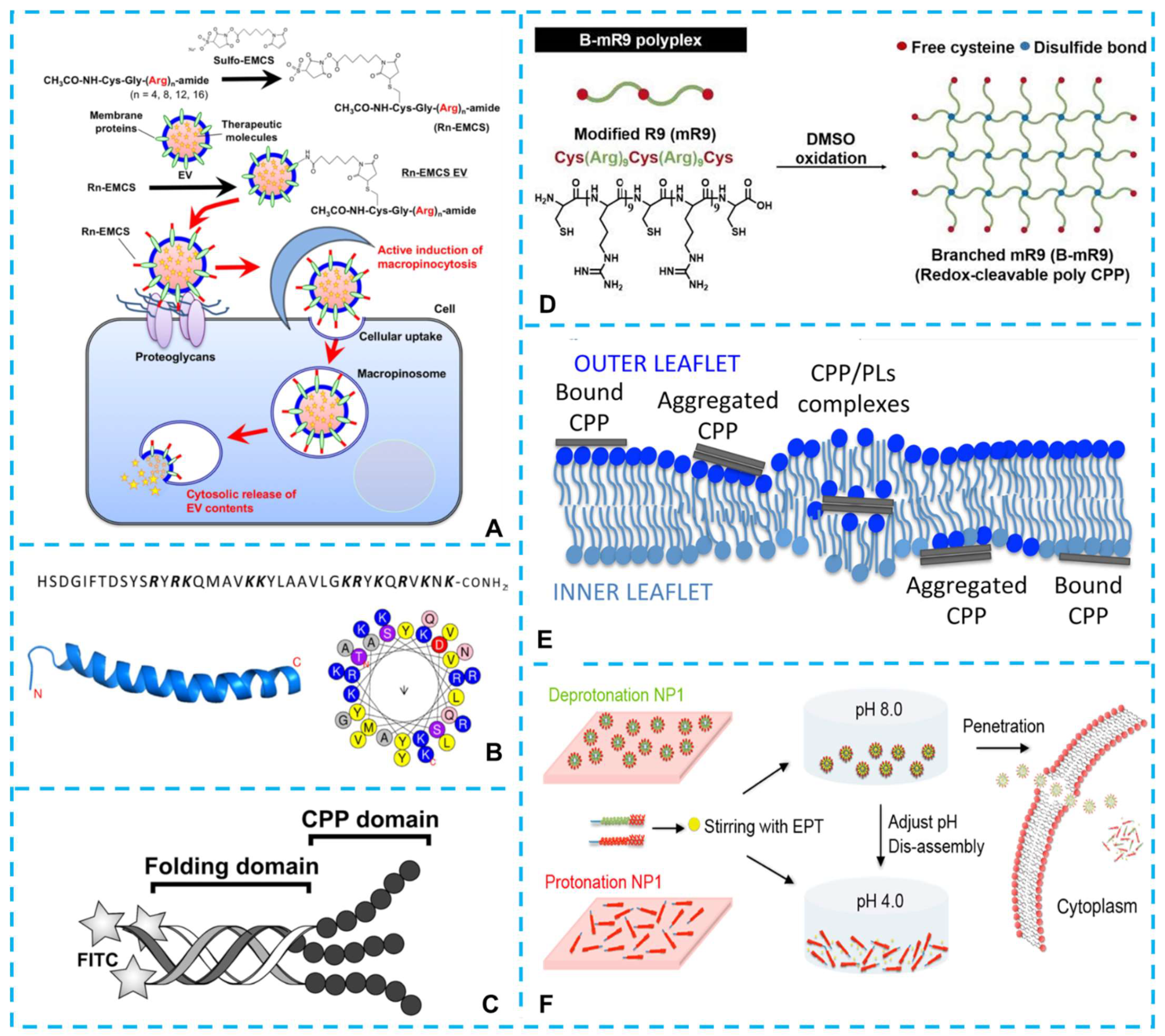 Ijms 23 09038 g002 550