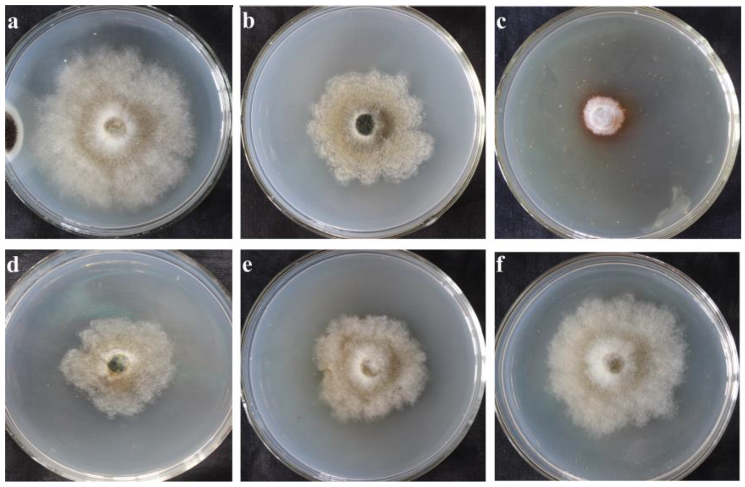 Ijms 23 09040 g001 550