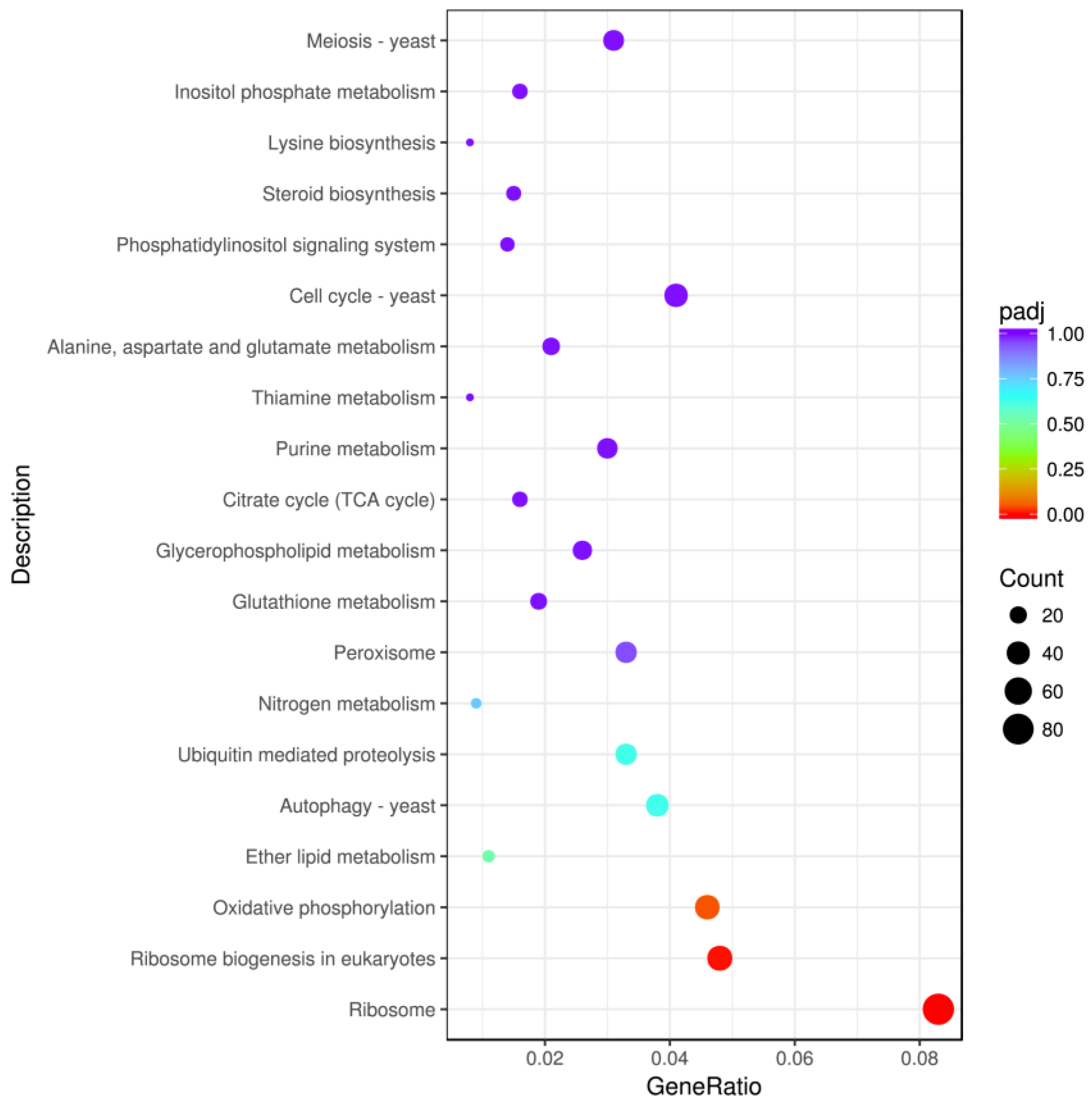 Ijms 23 09040 g008 550