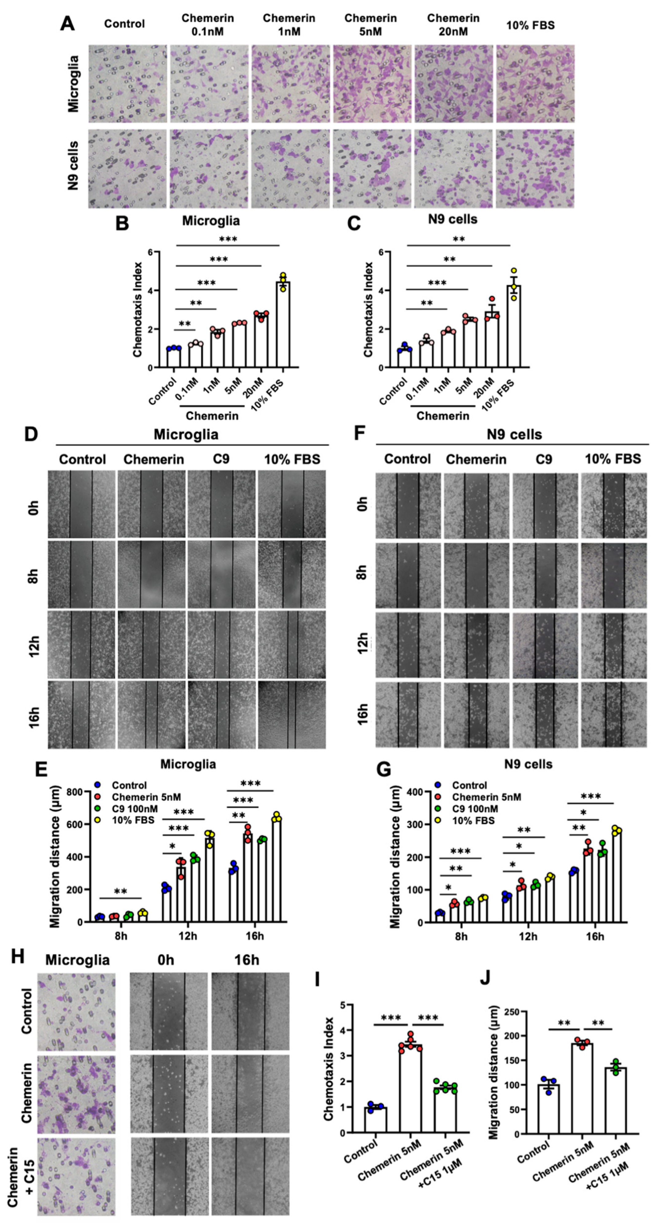 Ijms 23 09041 g003 Ijms 23 09041 g003