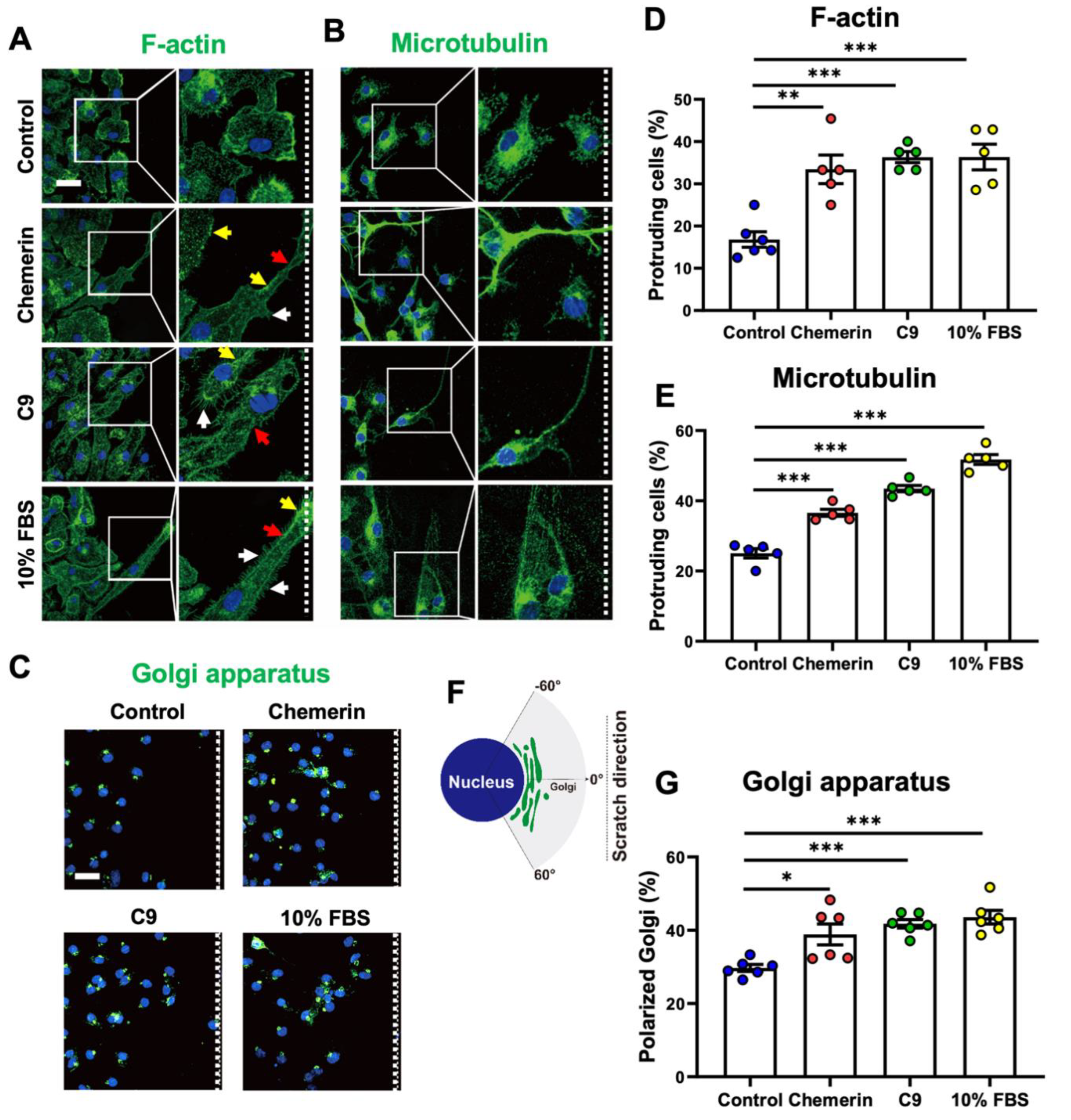 Ijms 23 09041 g004 Ijms 23 09041 g004