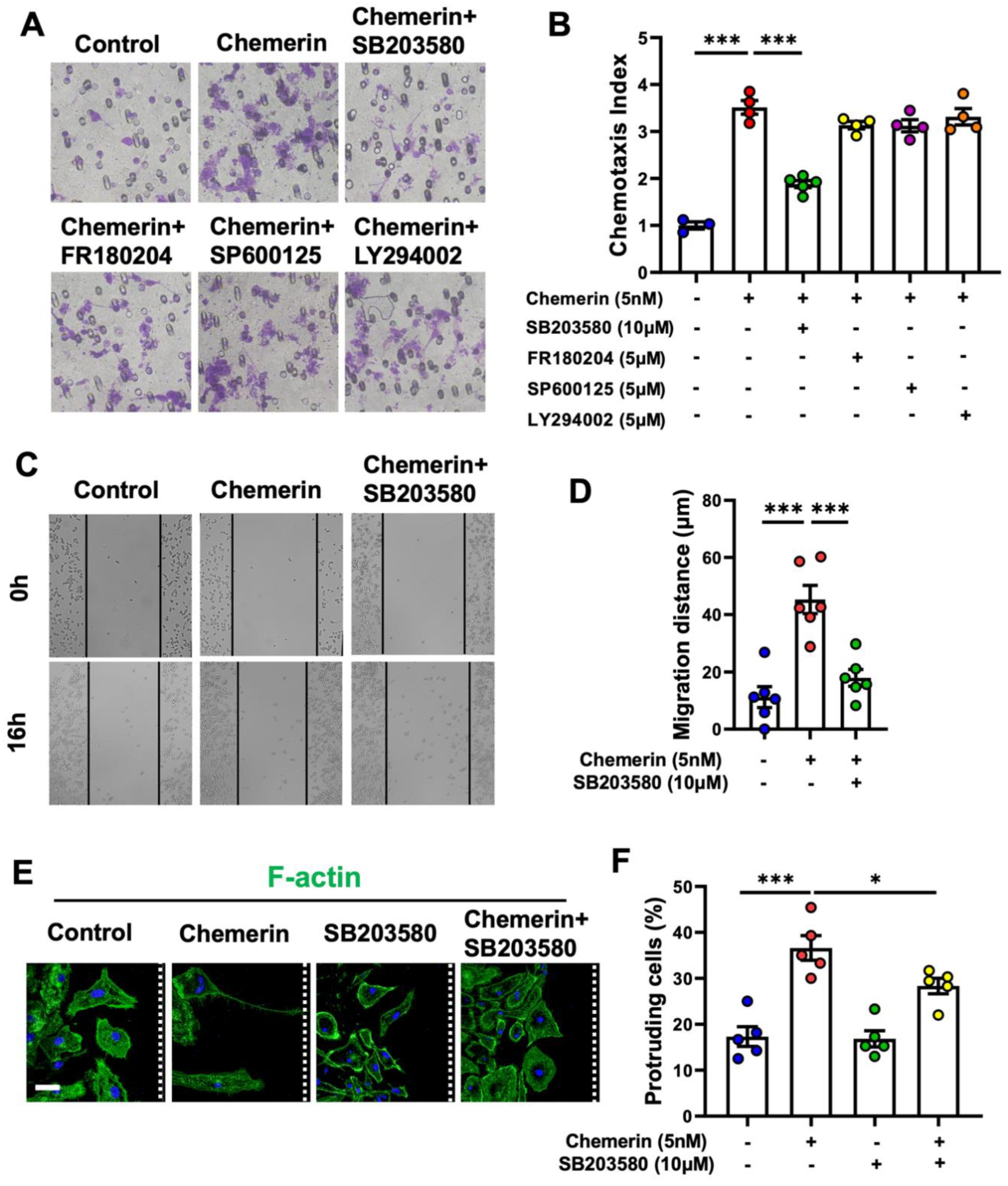 Ijms 23 09041 g005 Ijms 23 09041 g005