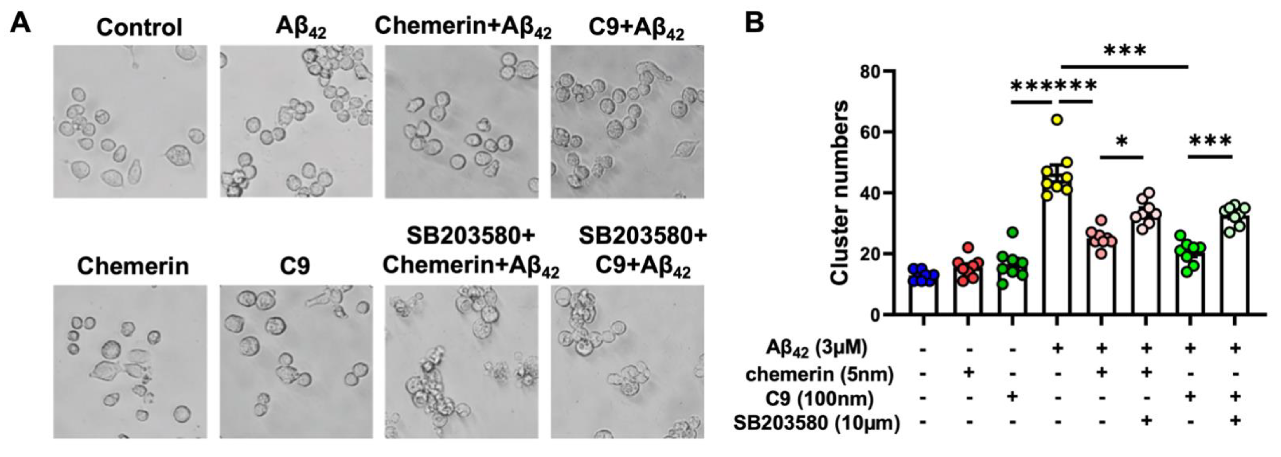 Ijms 23 09041 g006 Ijms 23 09041 g006