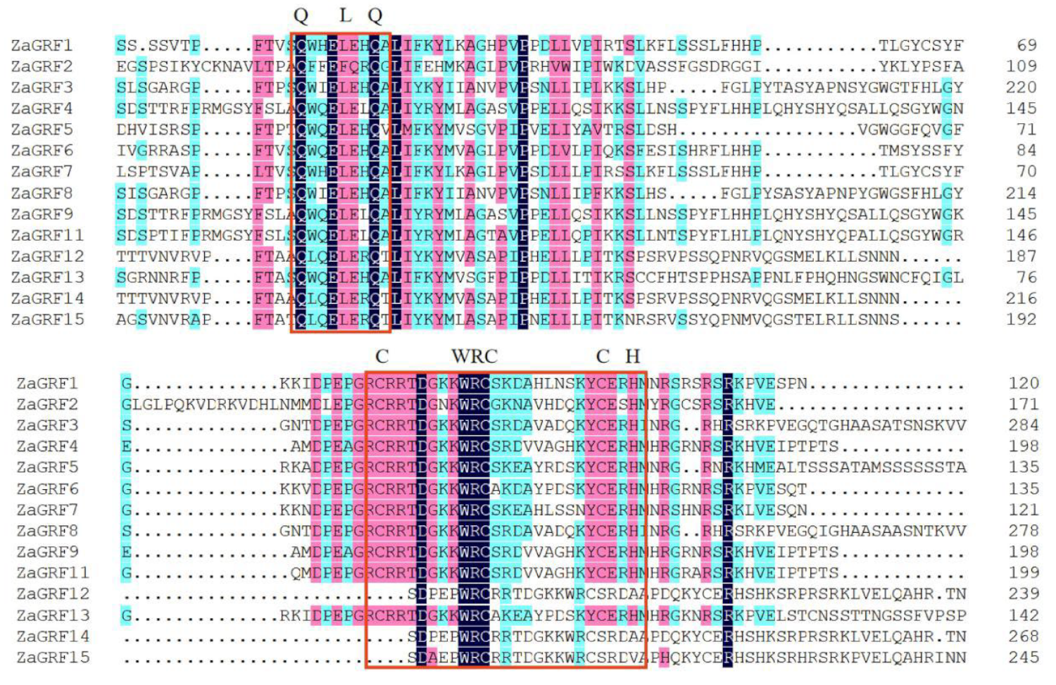 Ijms 23 09043 g001 550