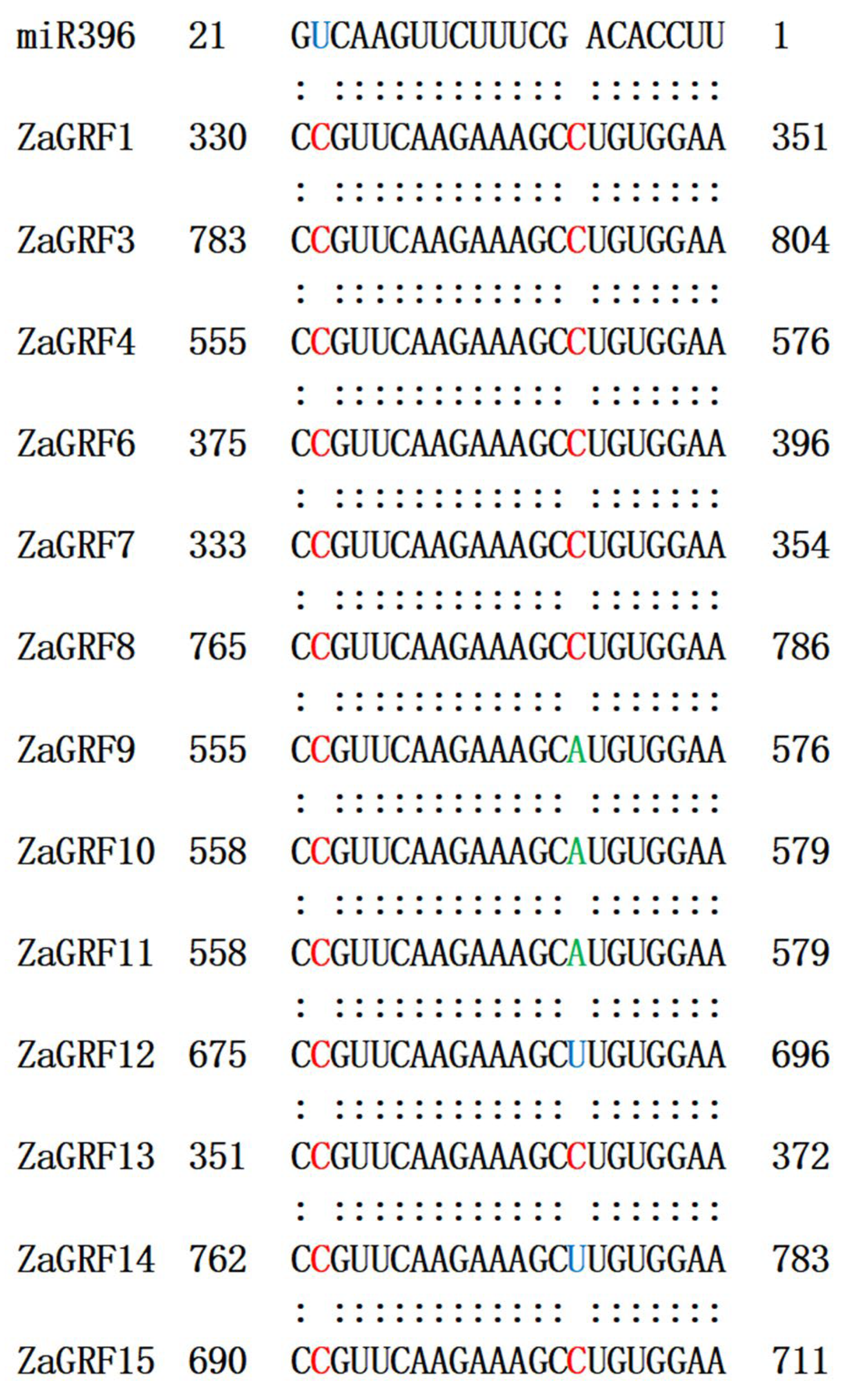 Ijms 23 09043 g002 550