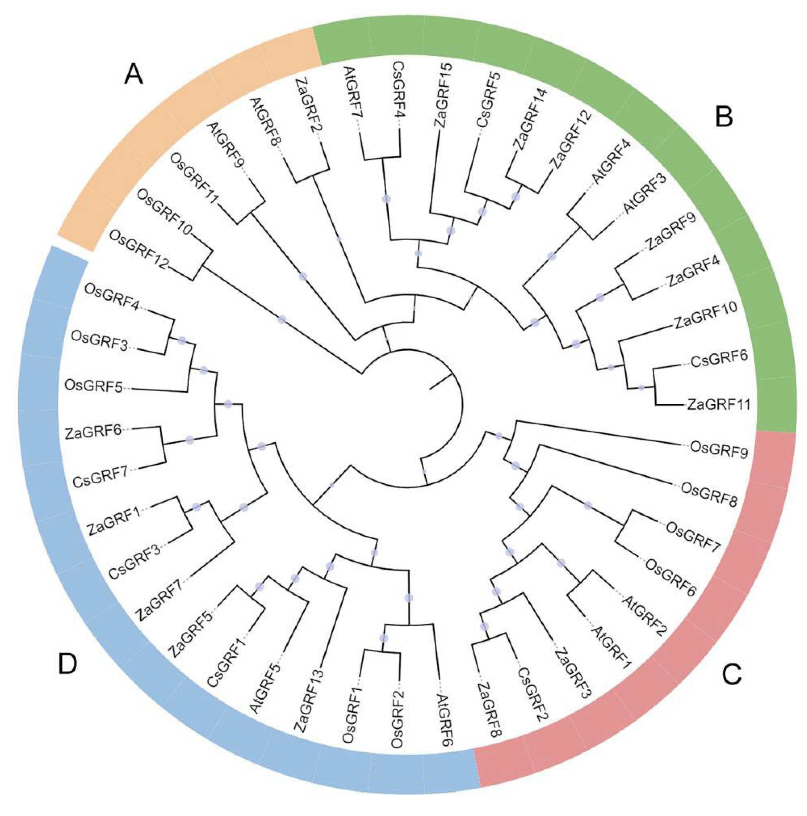 Ijms 23 09043 g004 550