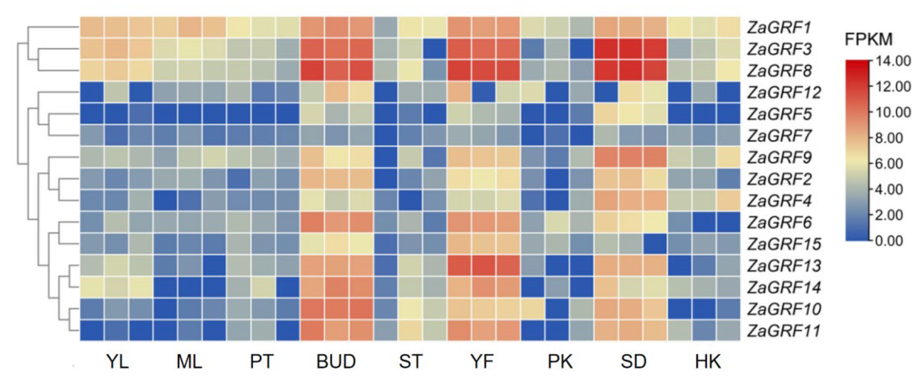 Ijms 23 09043 g007 550