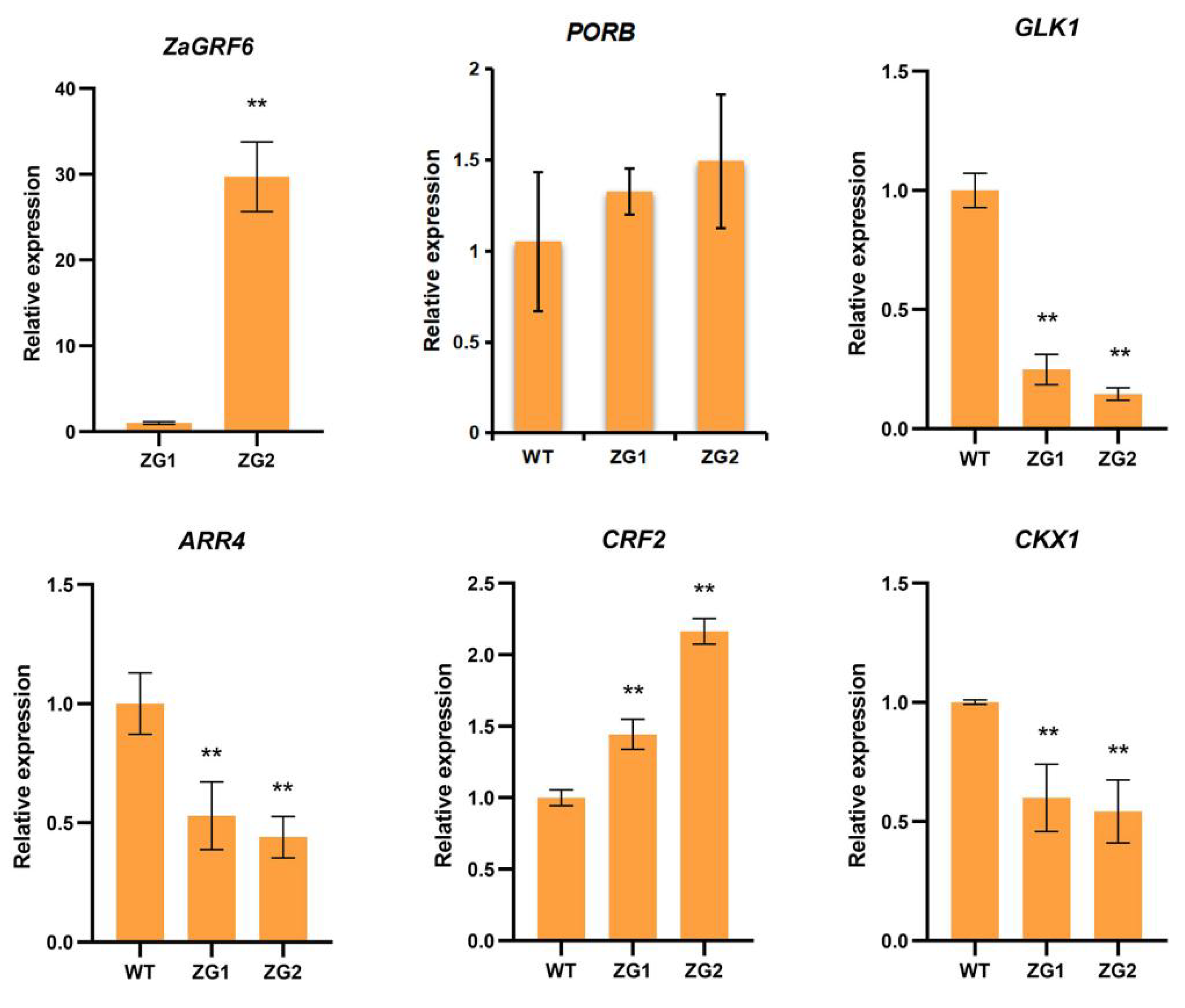 Ijms 23 09043 g010 550
