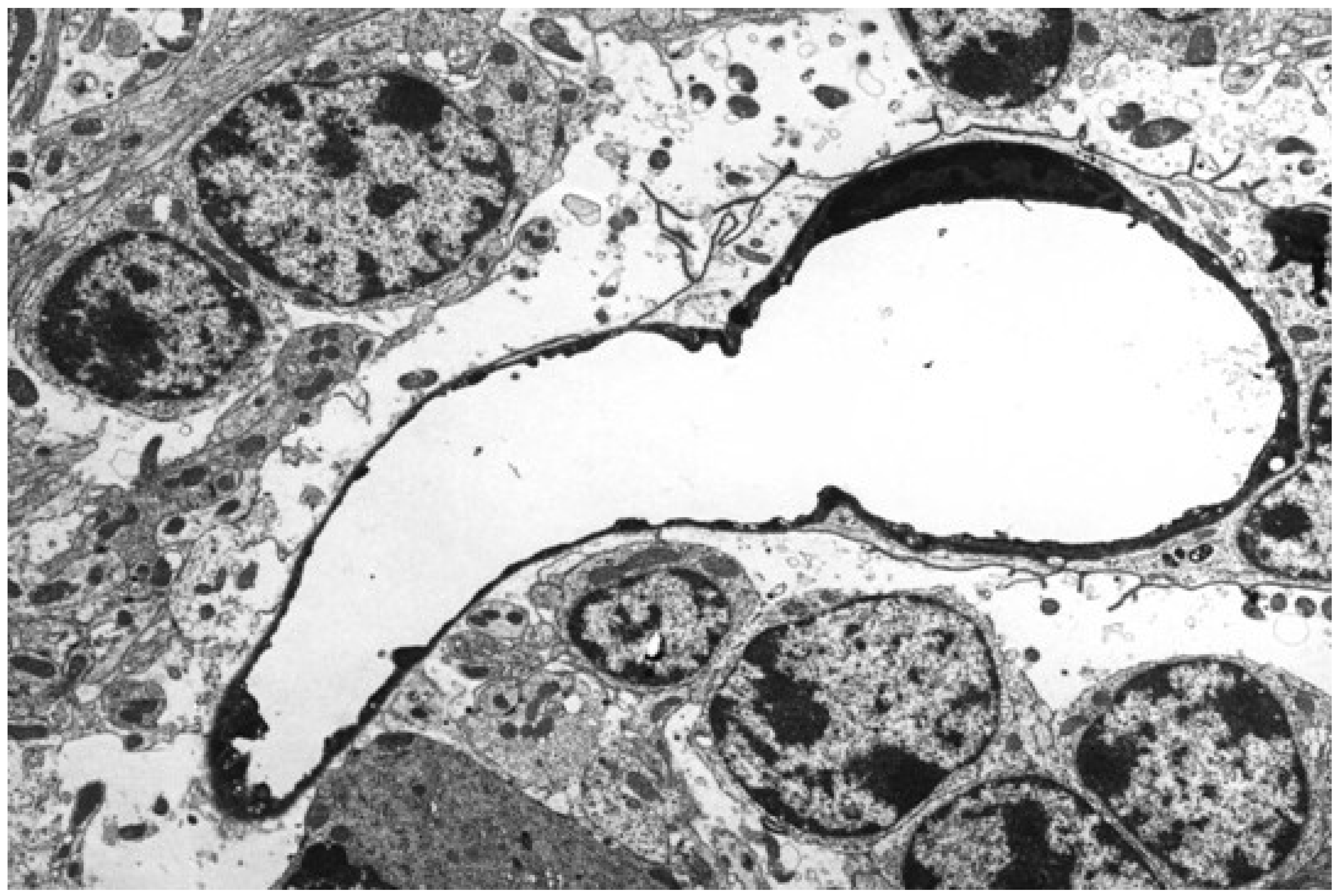 Ijms 23 09050 g002 550