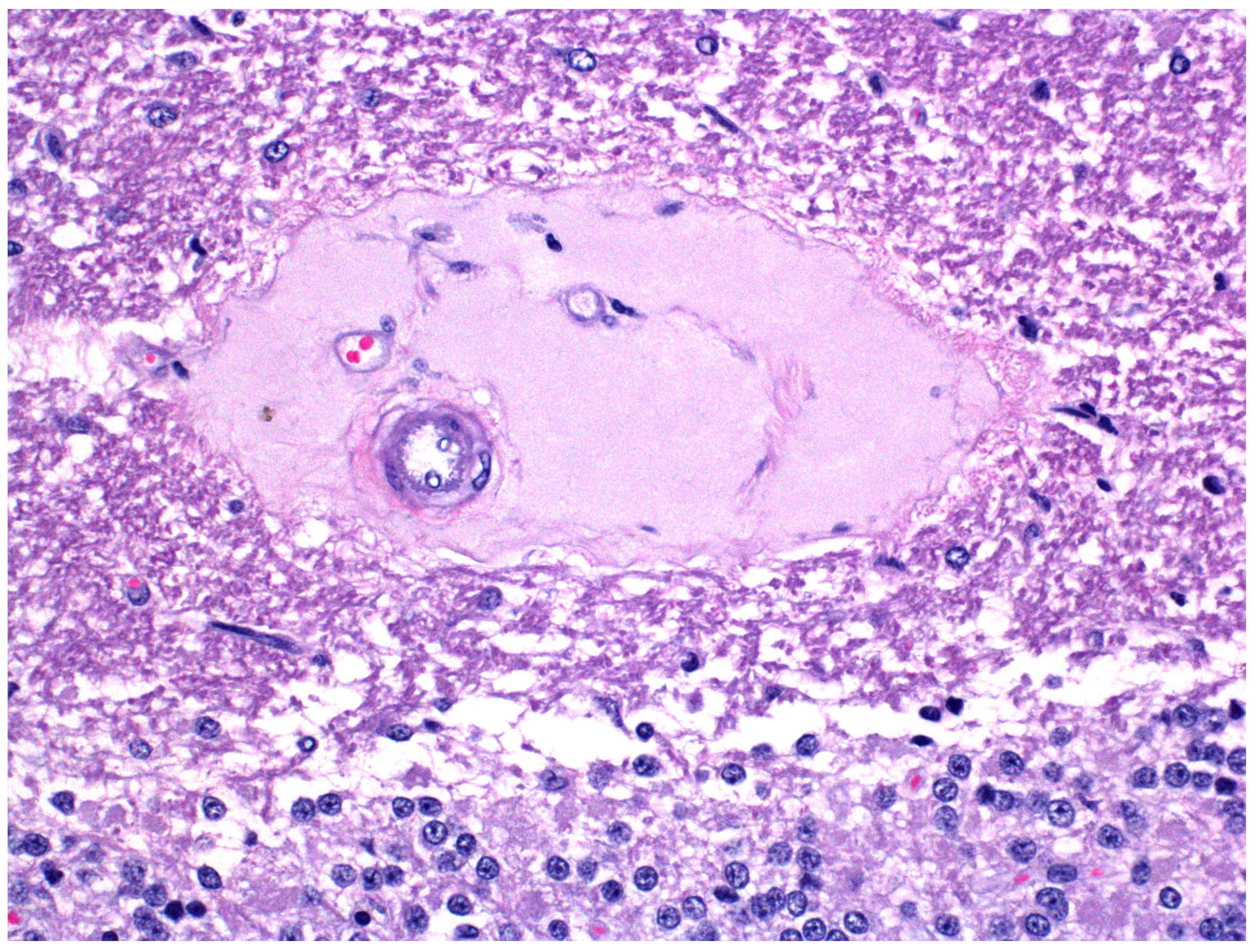 Ijms 23 09050 g003 550