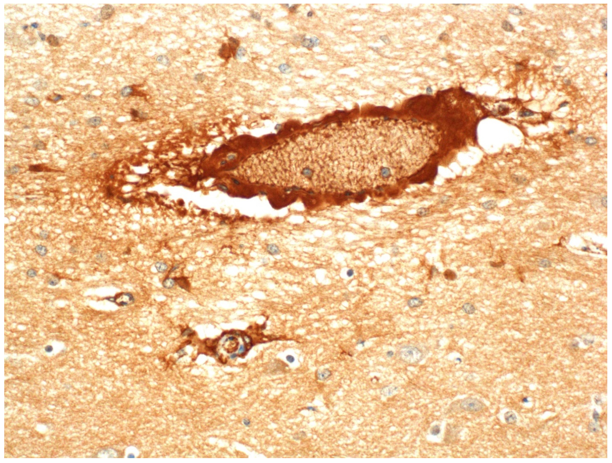 Ijms 23 09050 g004 550