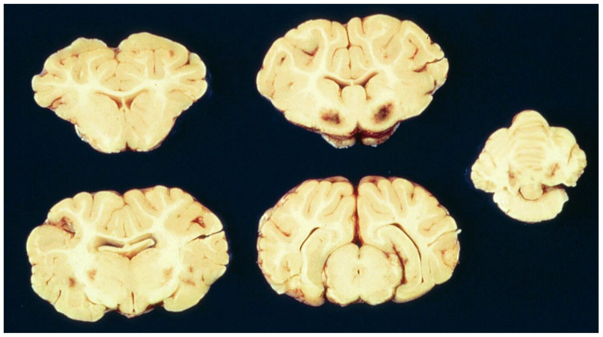 Ijms 23 09050 g005 550