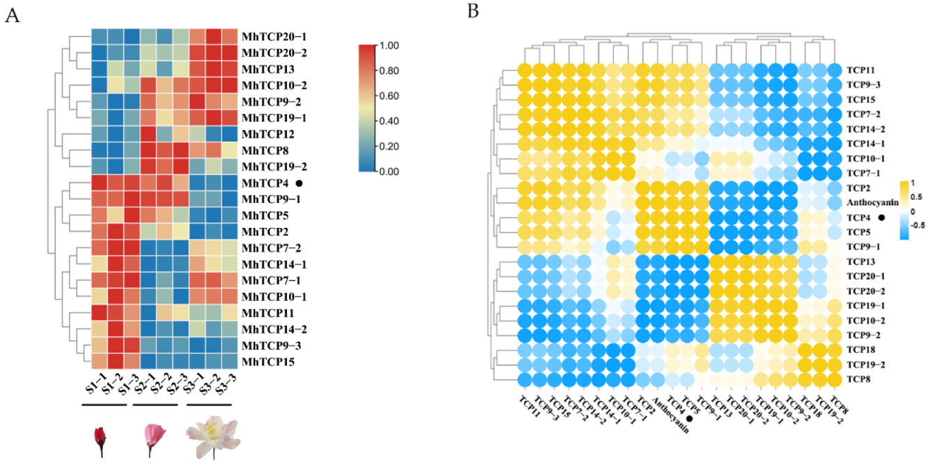 Ijms 23 09051 g001 550
