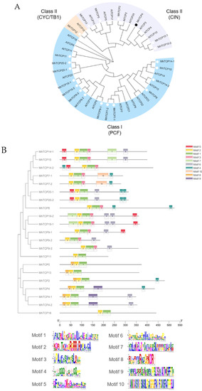 International Journal of Molecular Sciences | An Open Access Journal ...