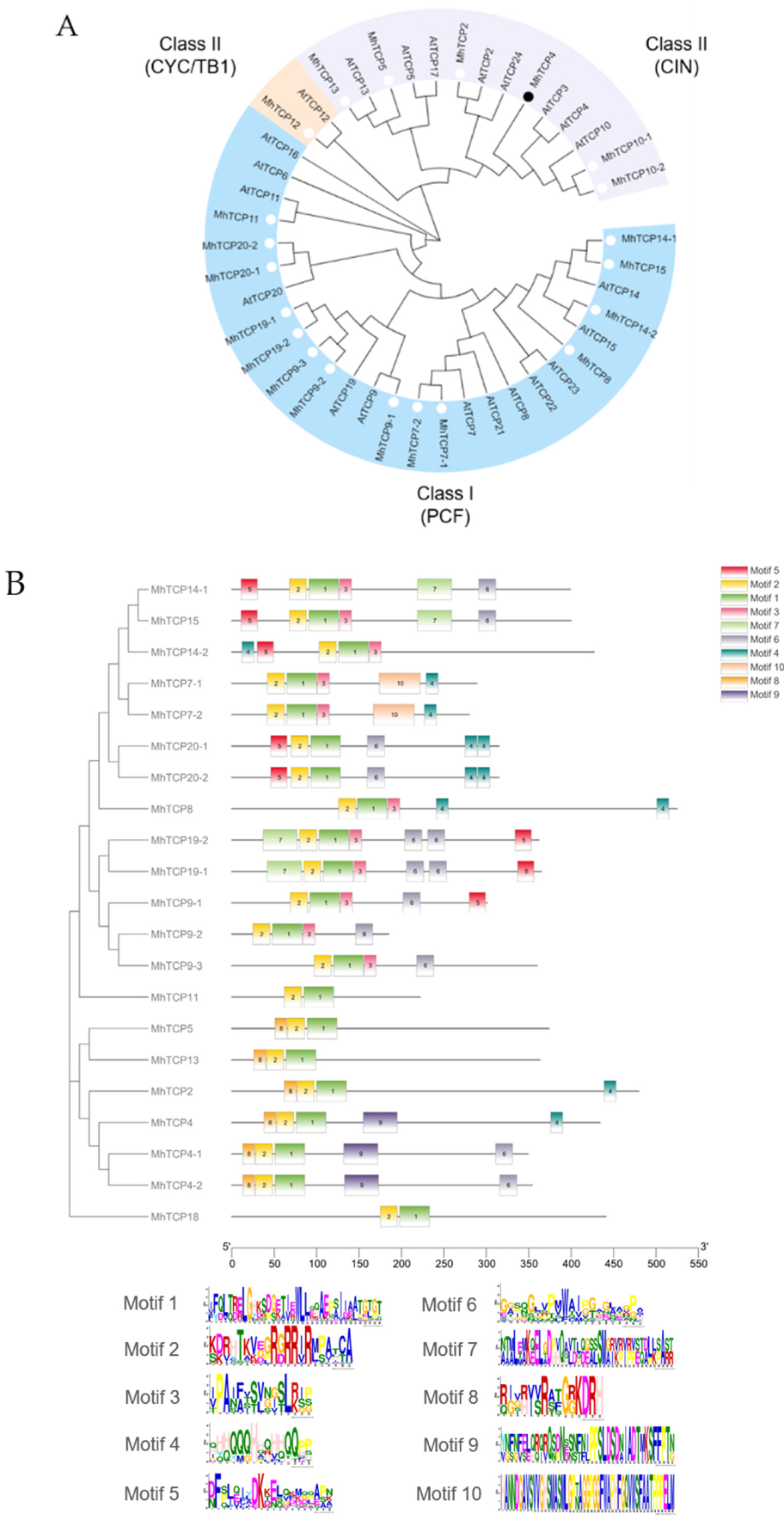 Ijms 23 09051 g002a 550