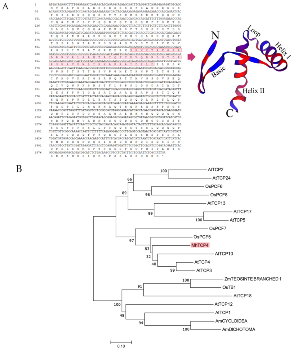 Ijms 23 09051 g003a 550