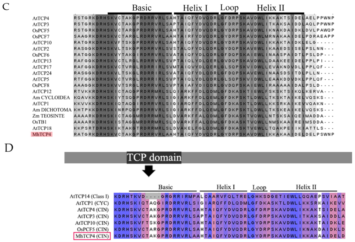 Ijms 23 09051 g003b 550