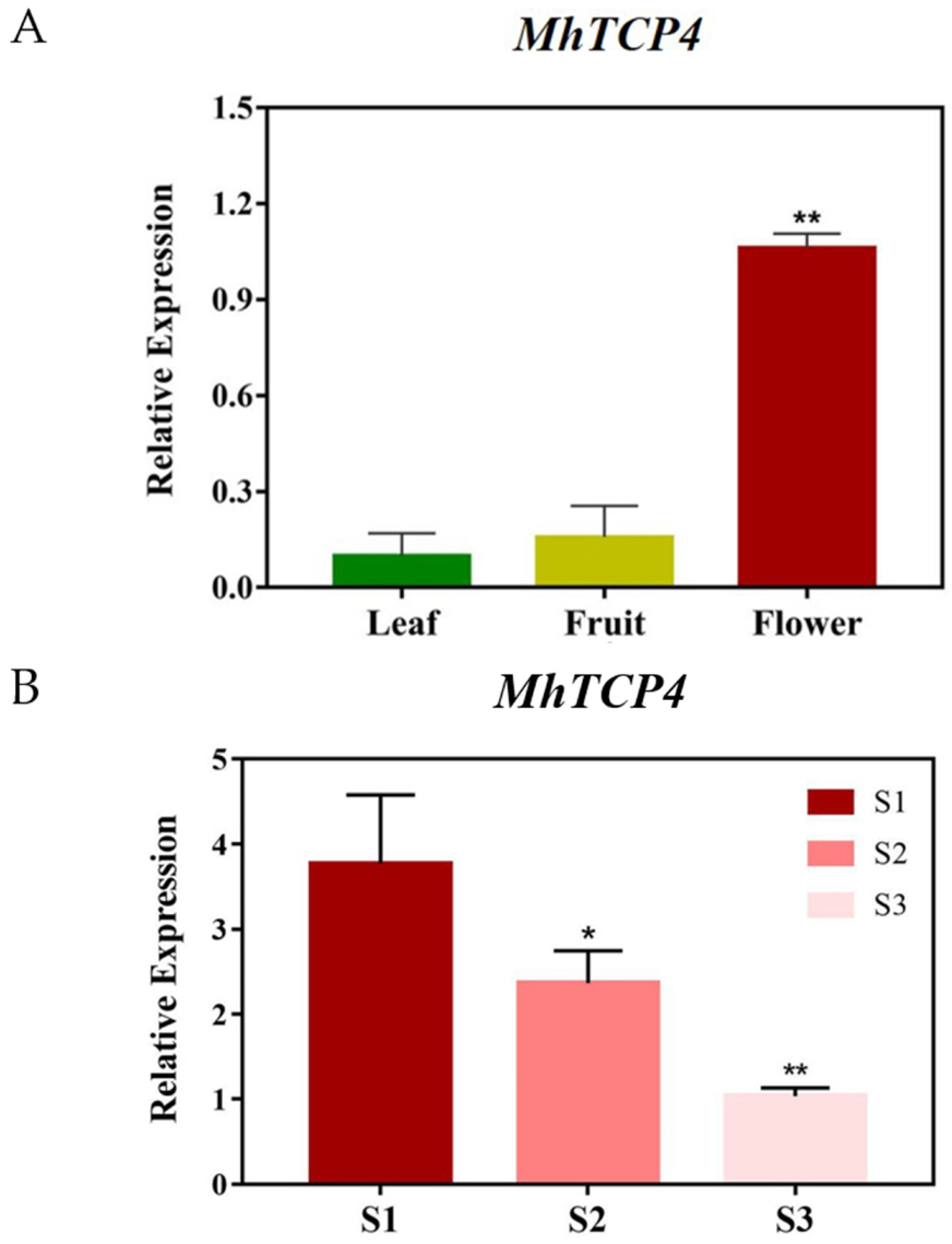 Ijms 23 09051 g004 550