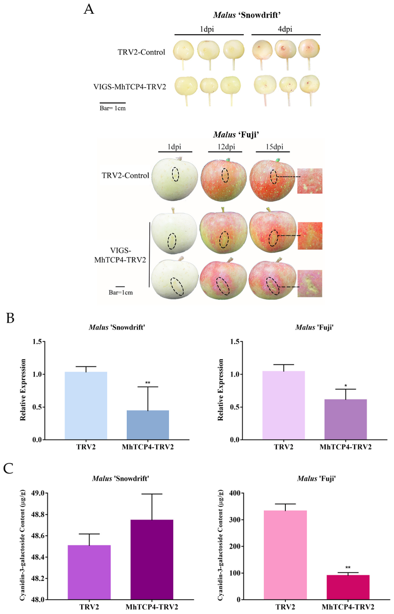 Ijms 23 09051 g006a 550