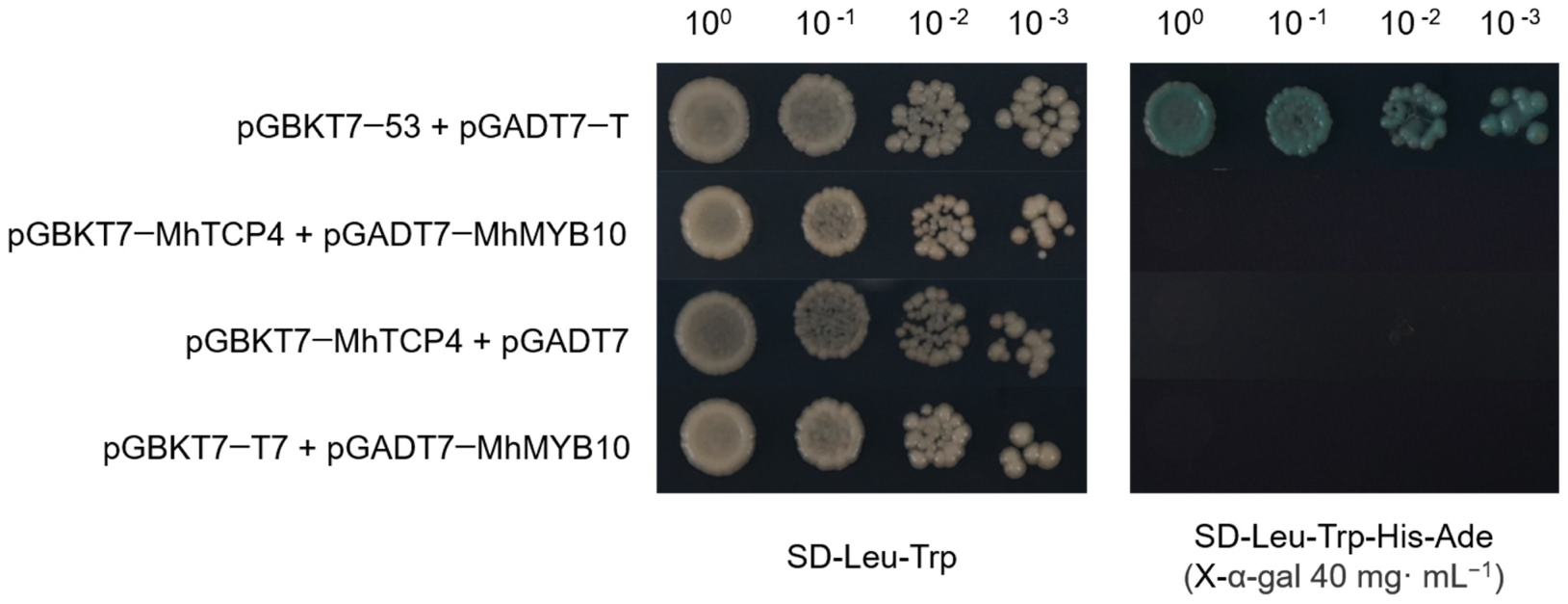 Ijms 23 09051 g007 550