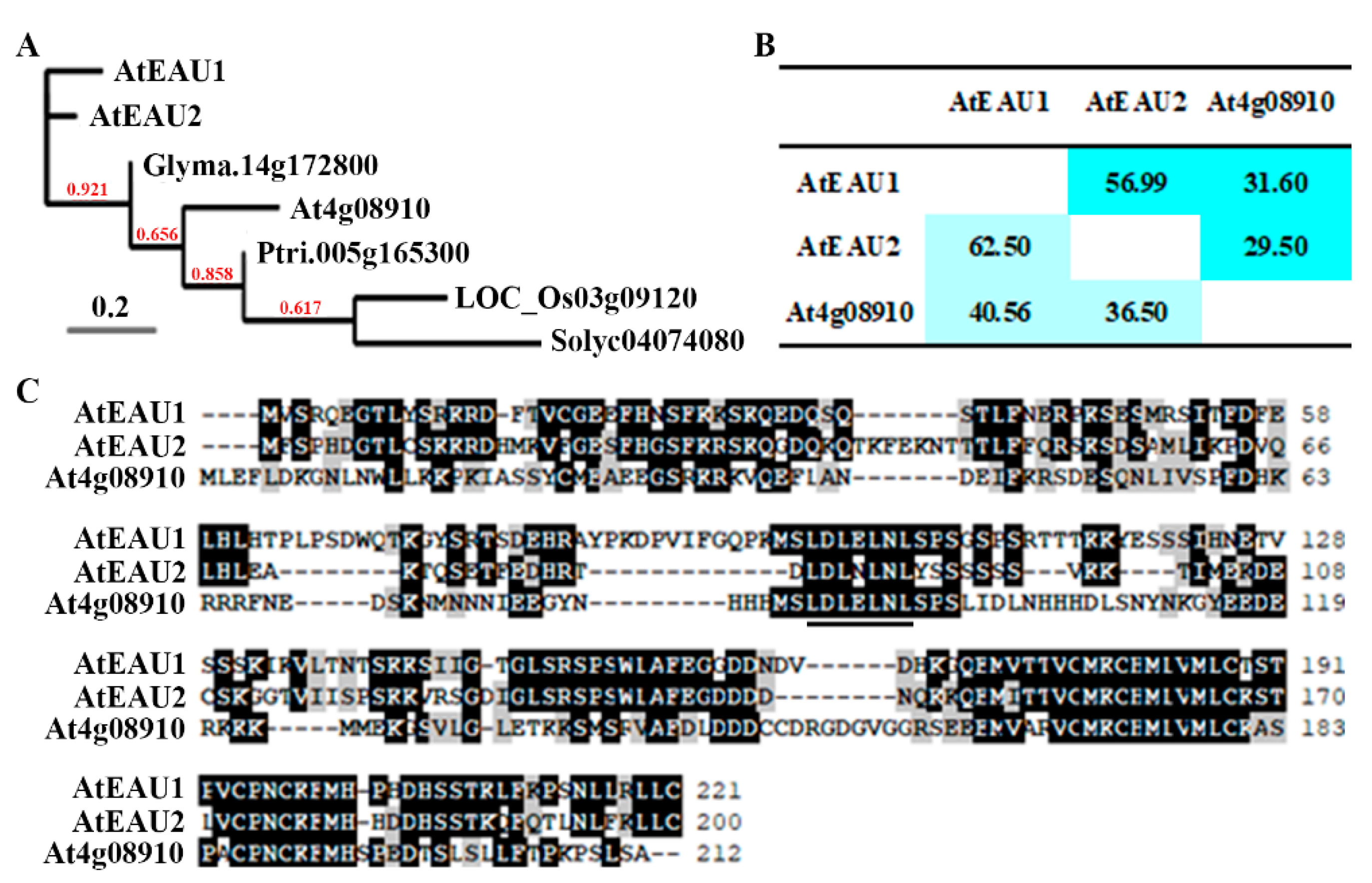 Ijms 23 09053 g001 550